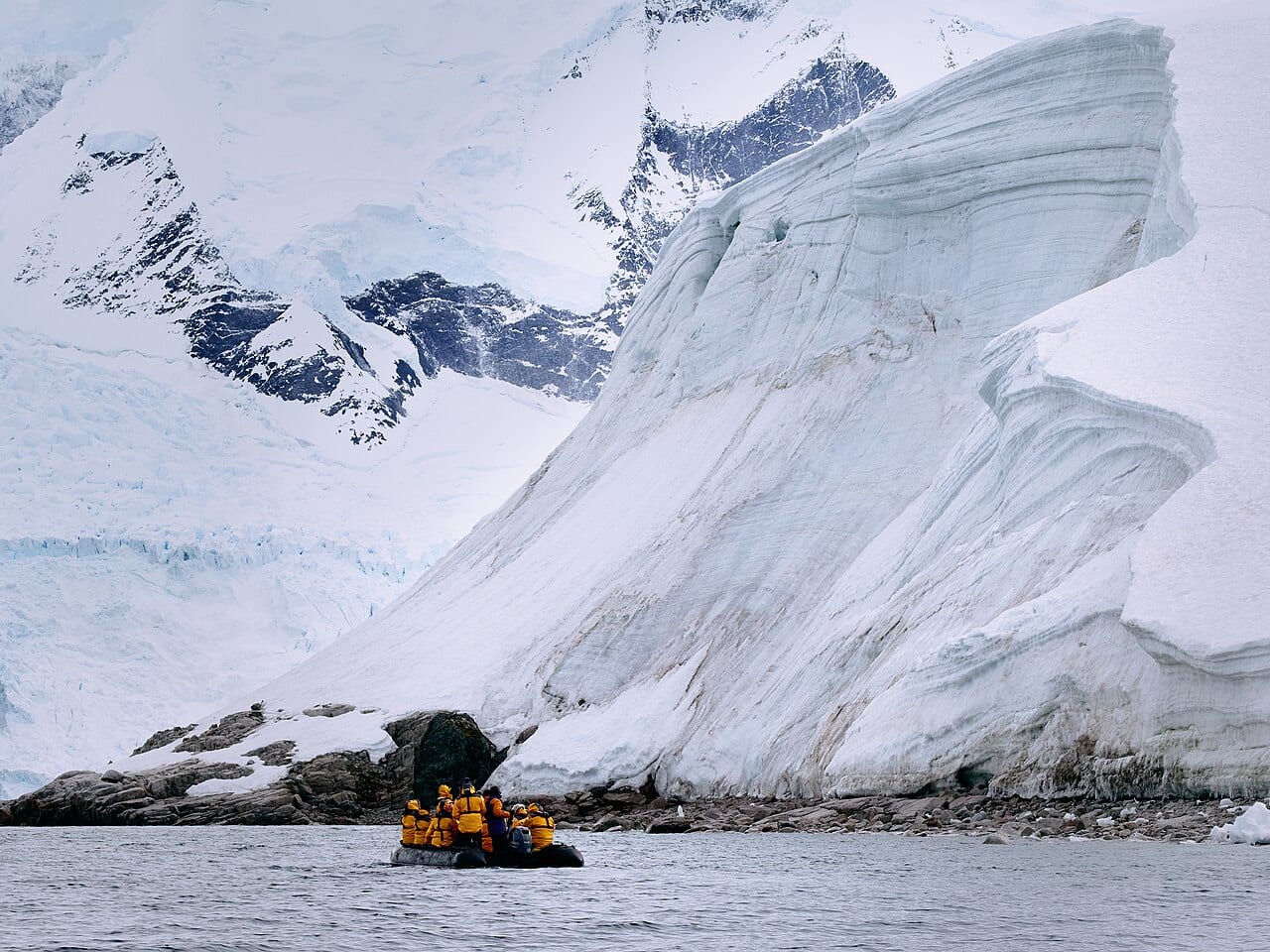 Антарктида — пингвины
