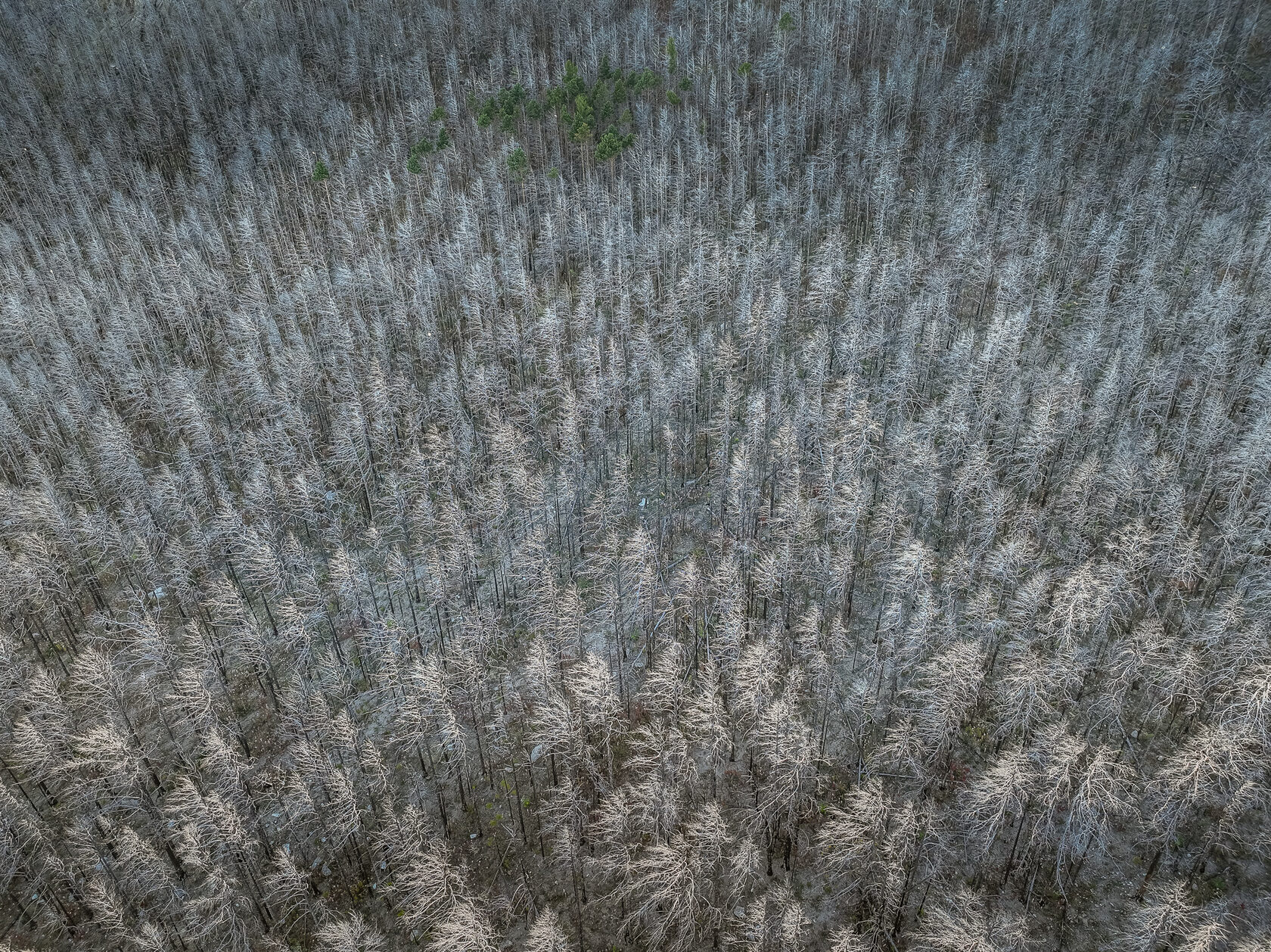 Байкал с высоты птичьего полёта