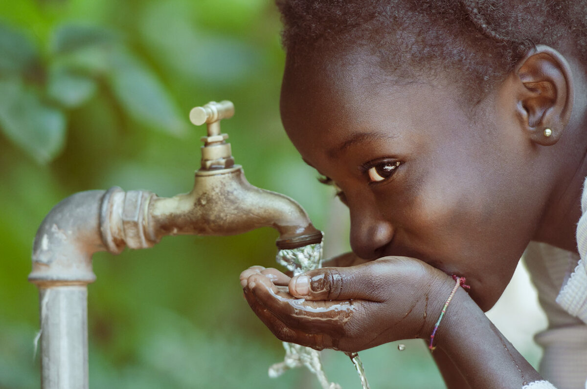 Дикая природа Африки