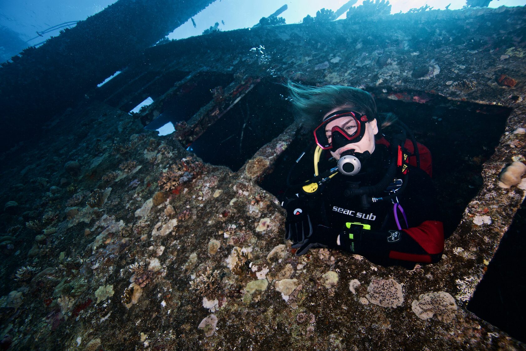 Подводный мир