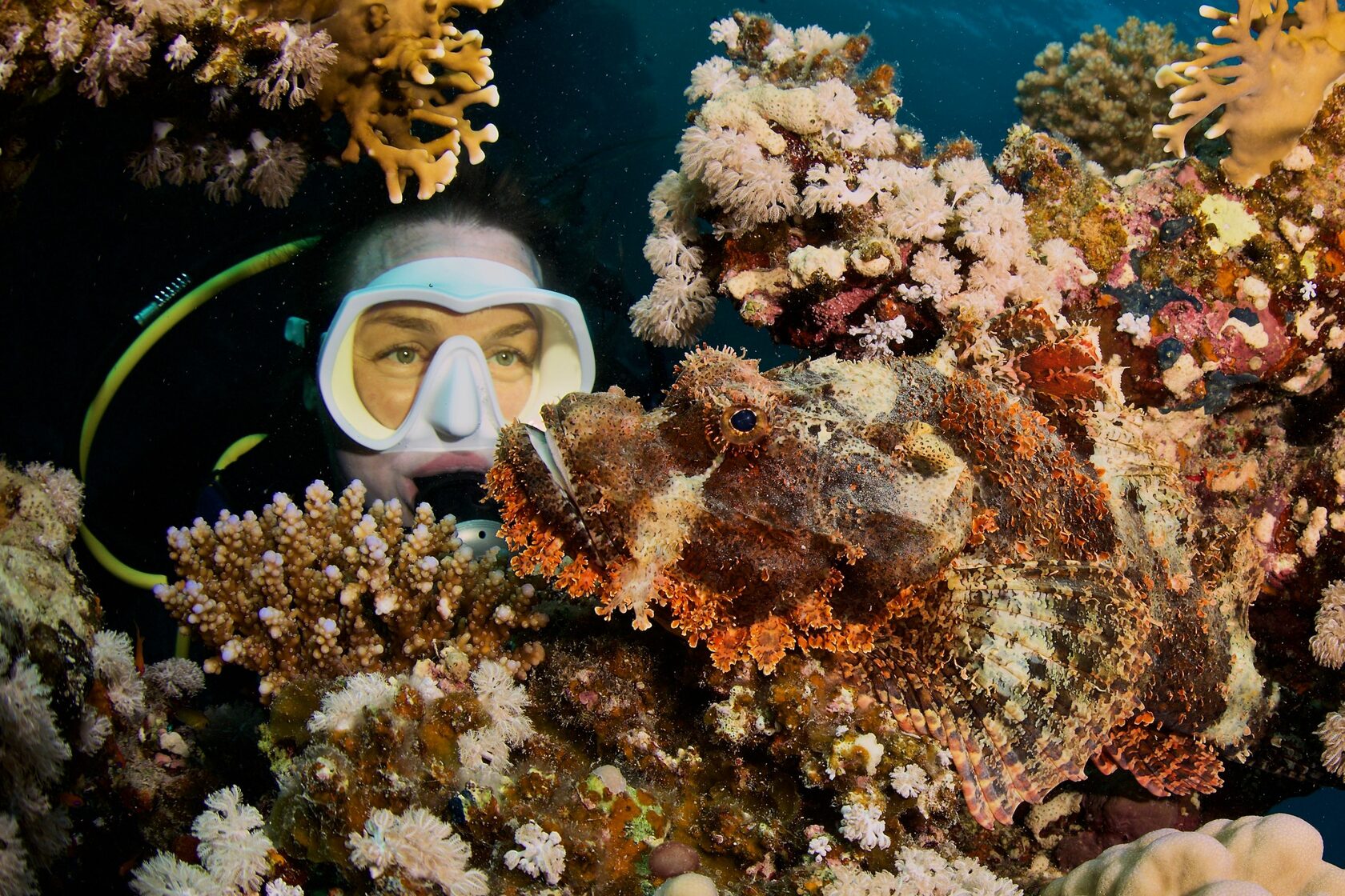 Женщина-дайвер