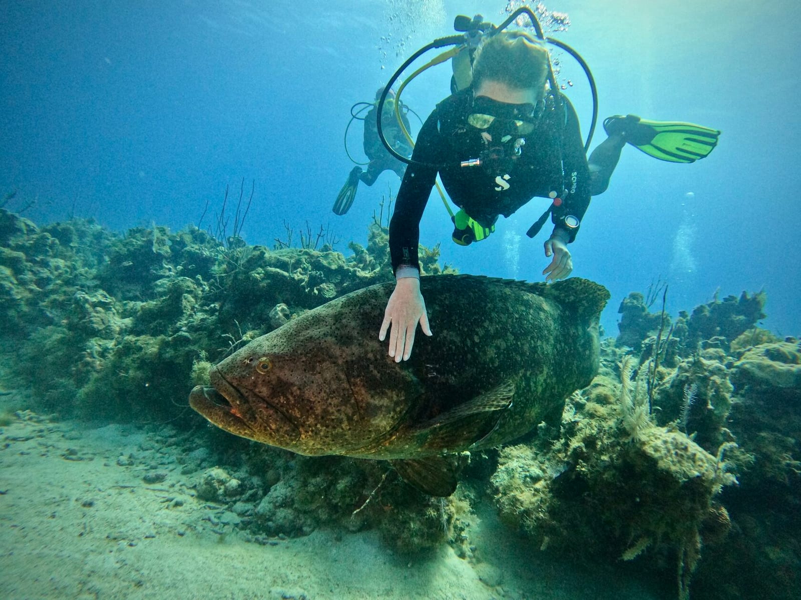 Куба, март 2024