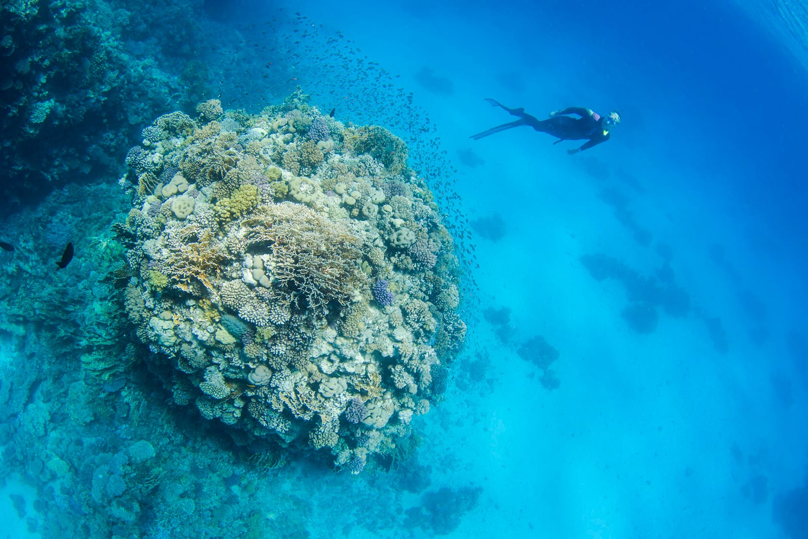 Египет, июнь 2021