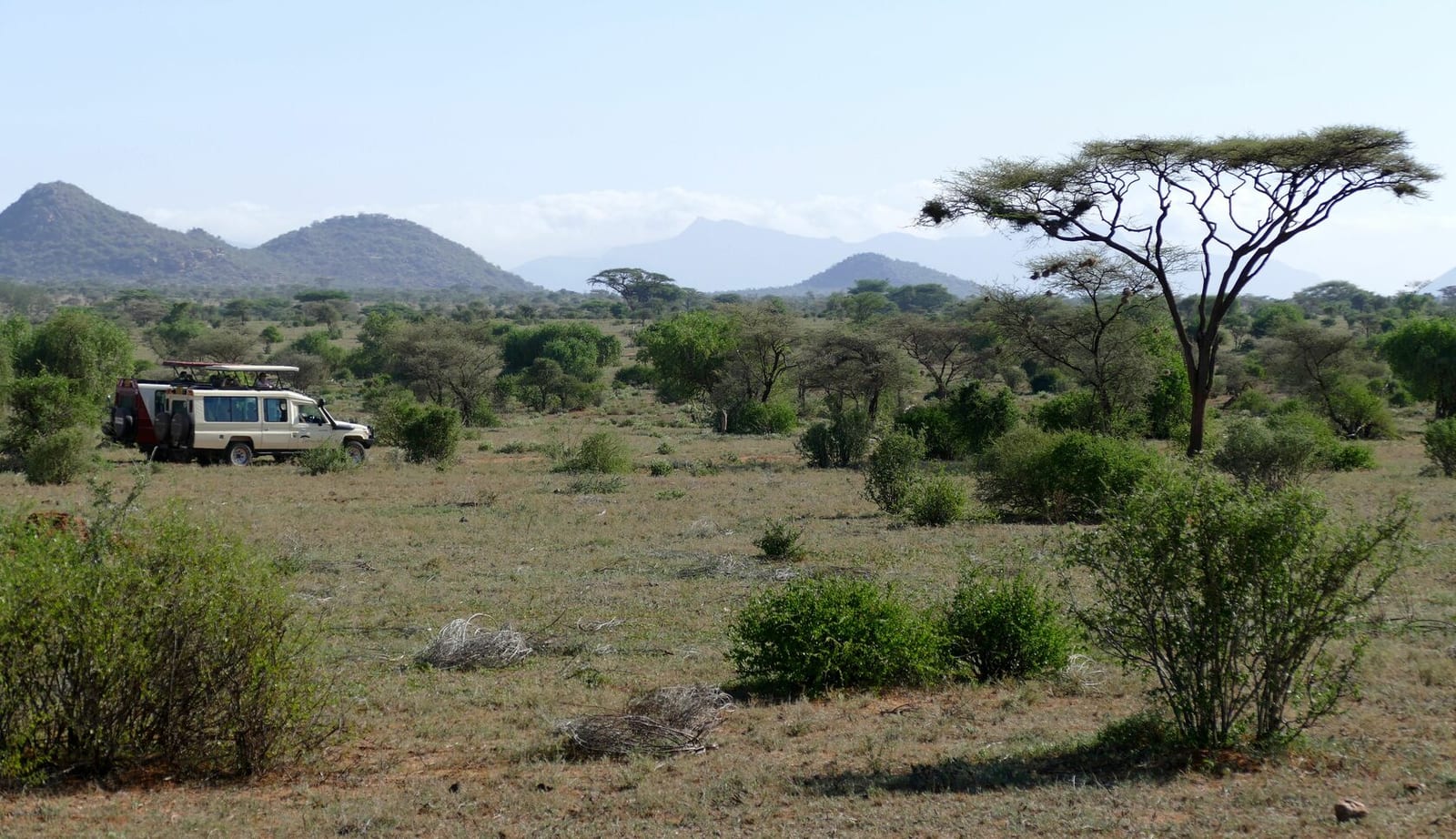 Кения, январь 2022