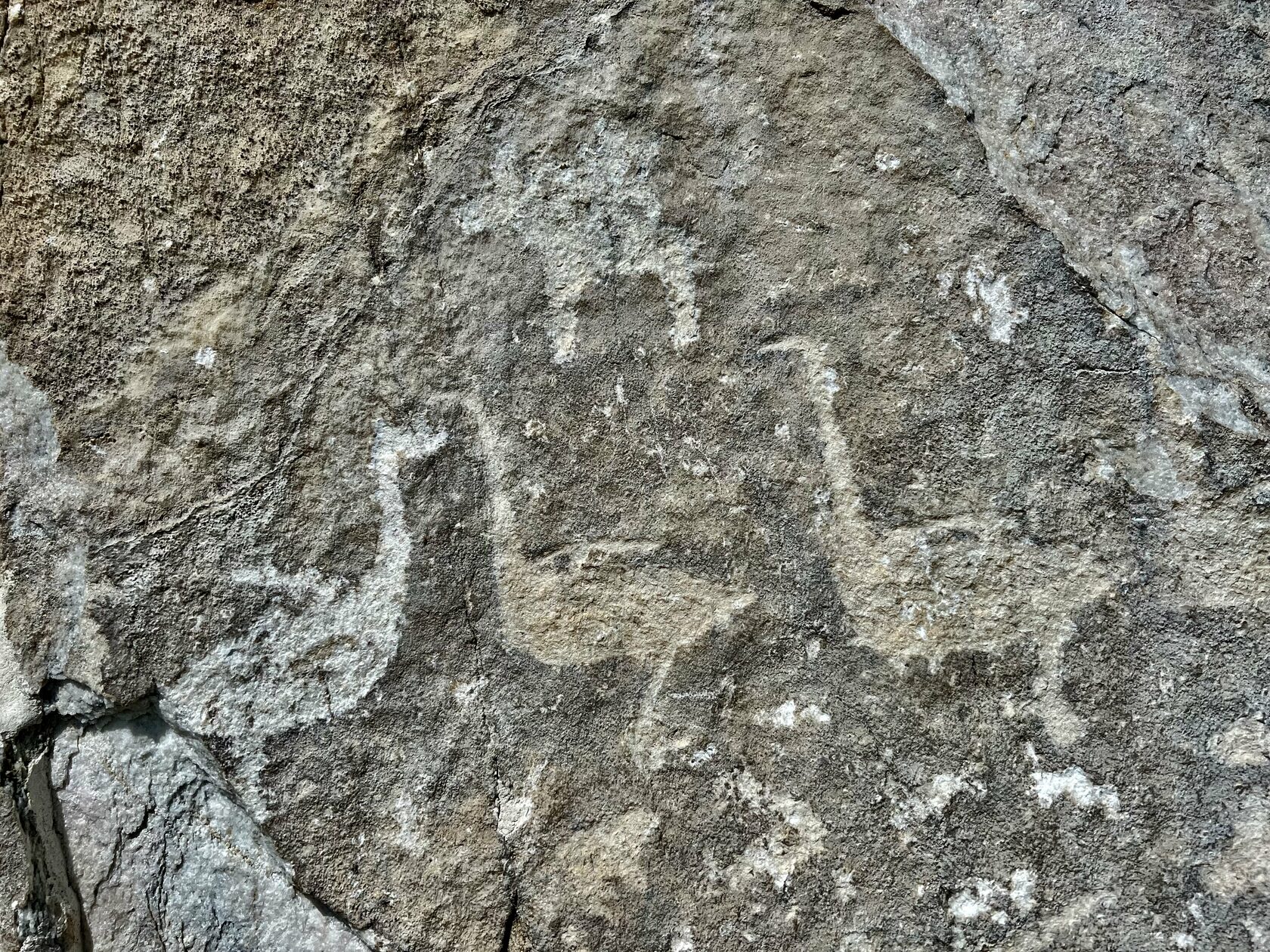 Байкал, июль 2022