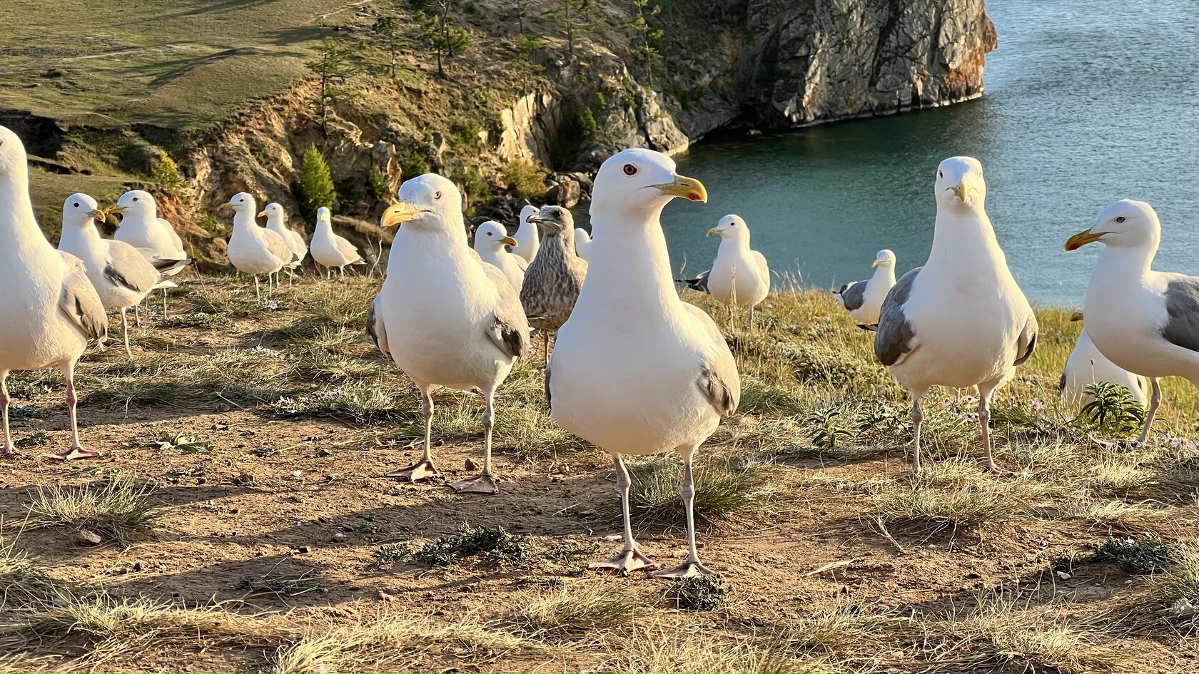 Байкал, июль 2022