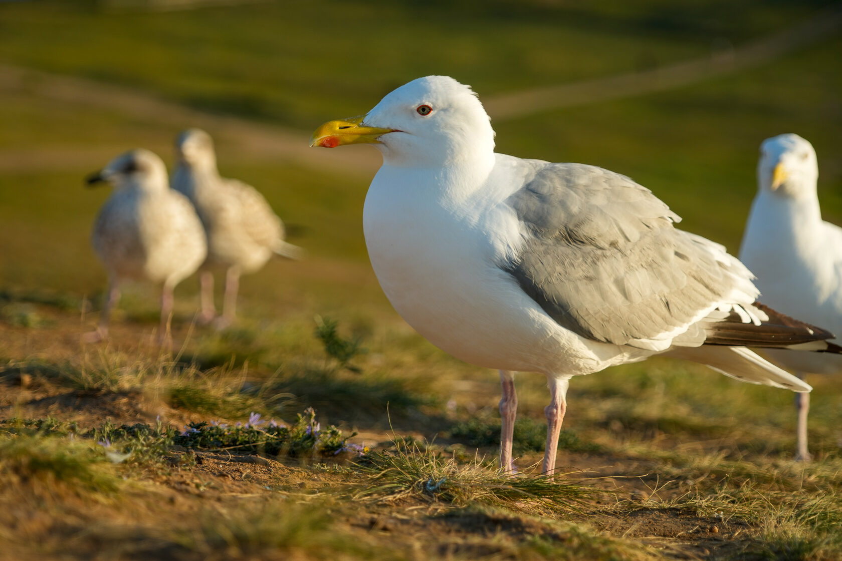 Байкал, июль 2022