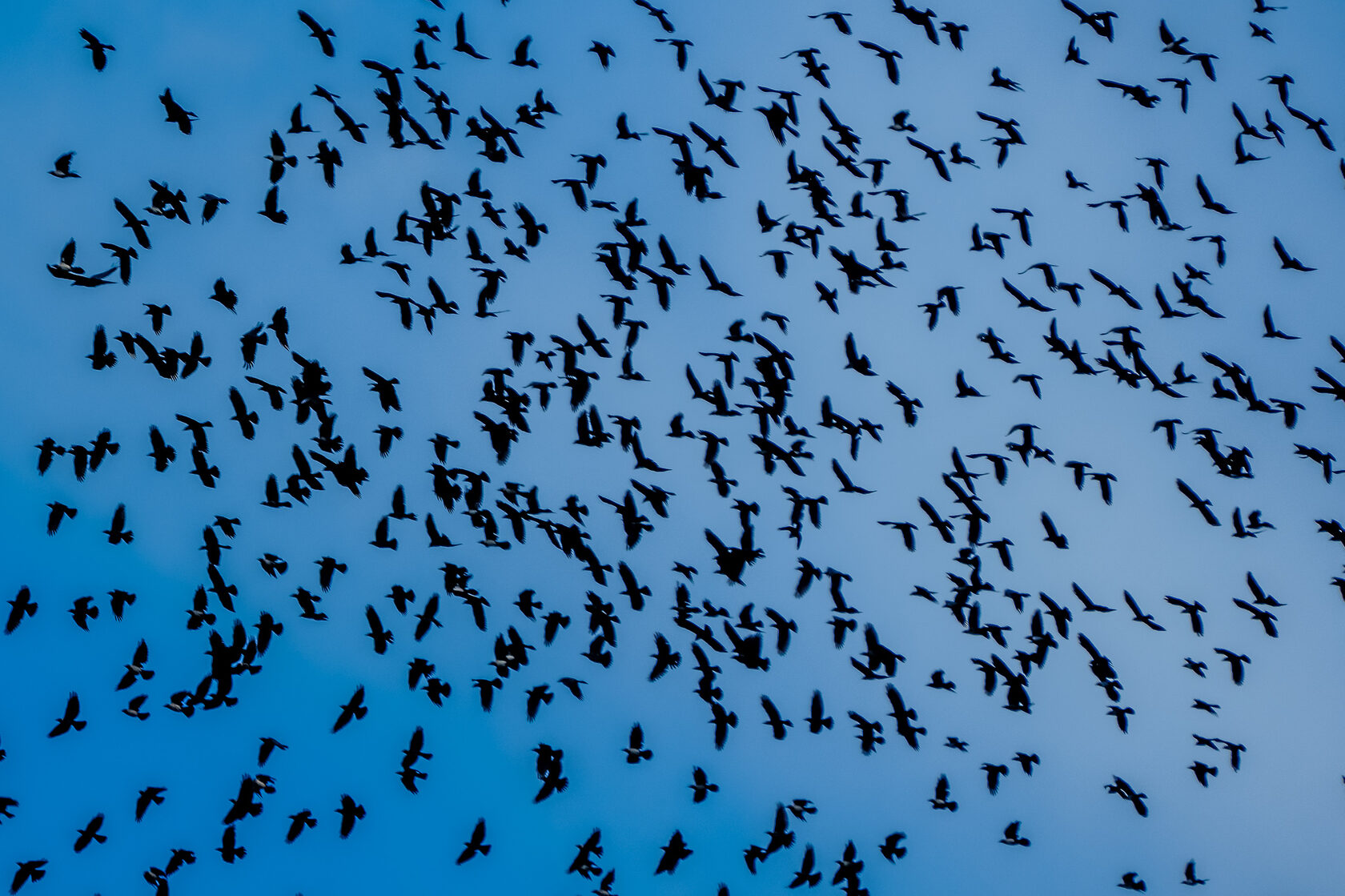 Байкал, июль 2022