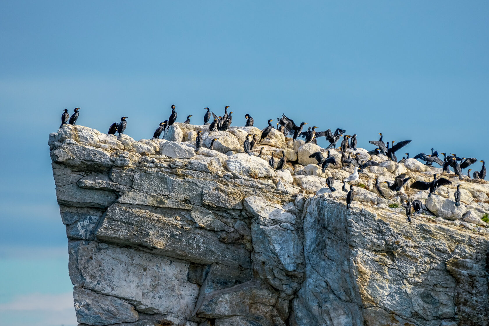 Байкал, июль 2022