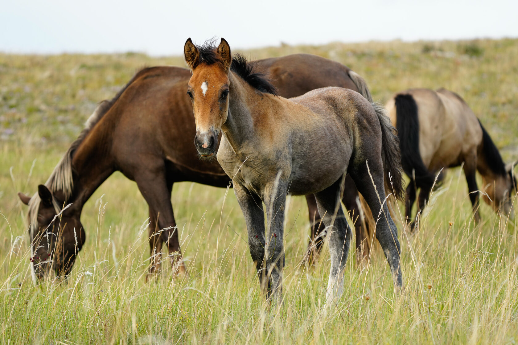Байкал, июль 2022
