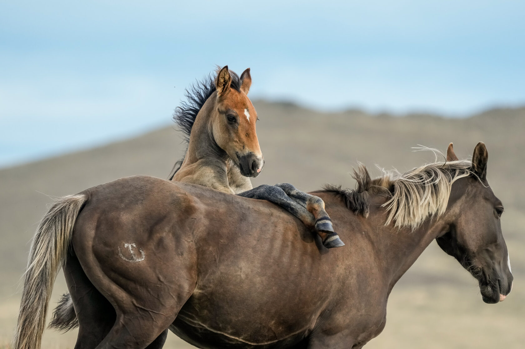 Байкал, июль 2022