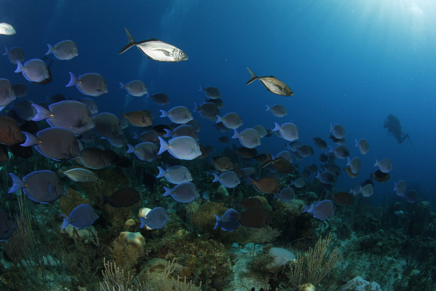 Куба, ноябрь 2023