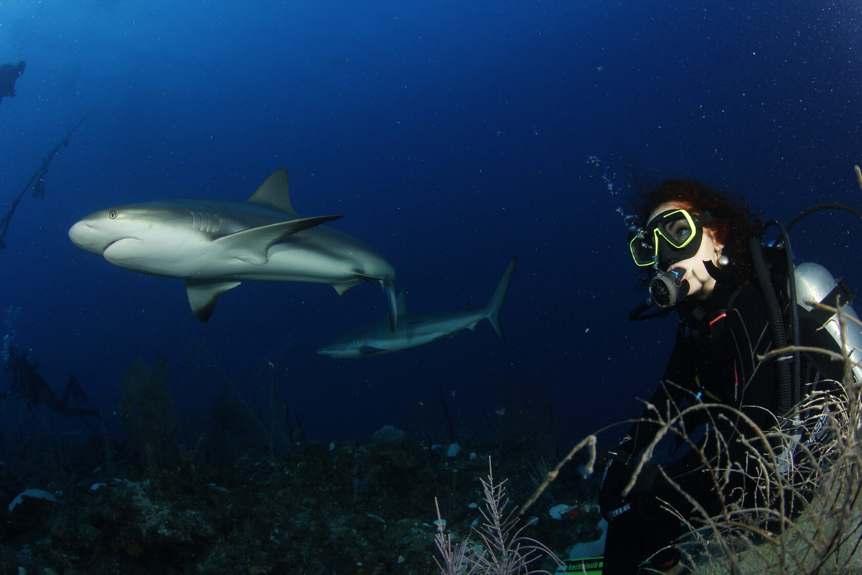 Куба, ноябрь 2023