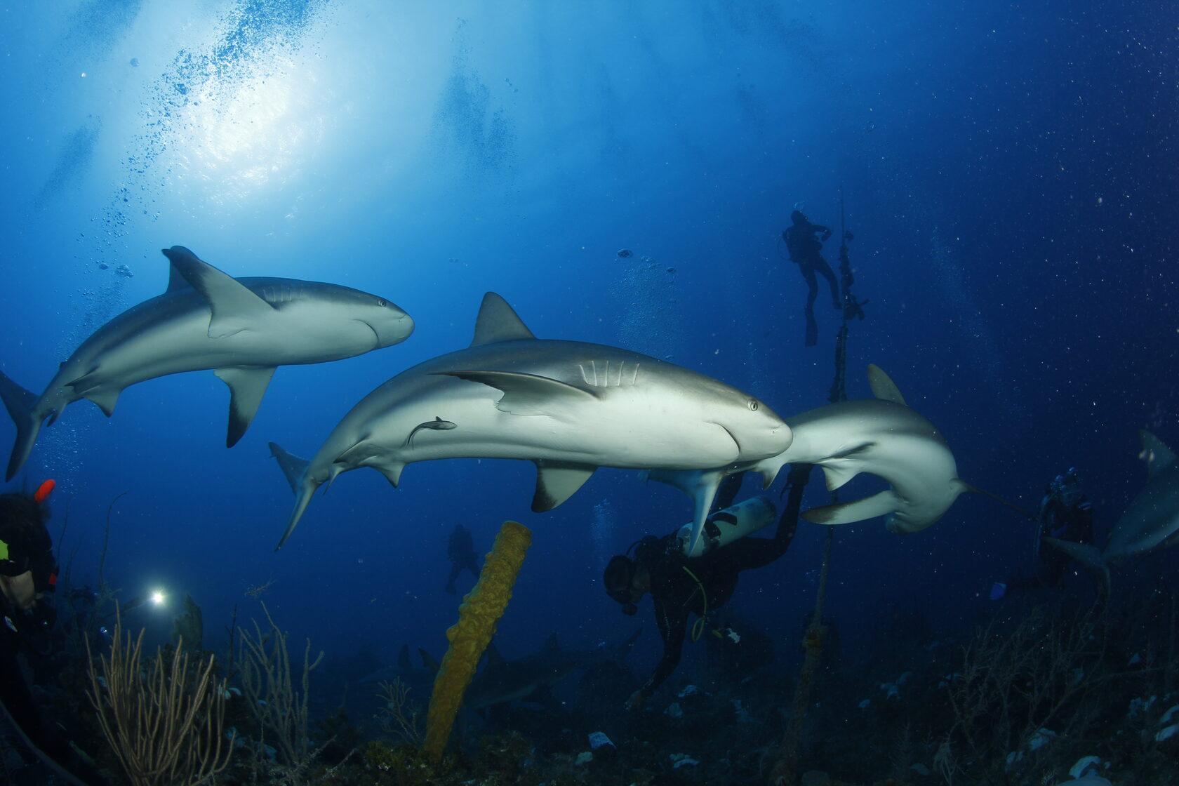 Куба, ноябрь 2023