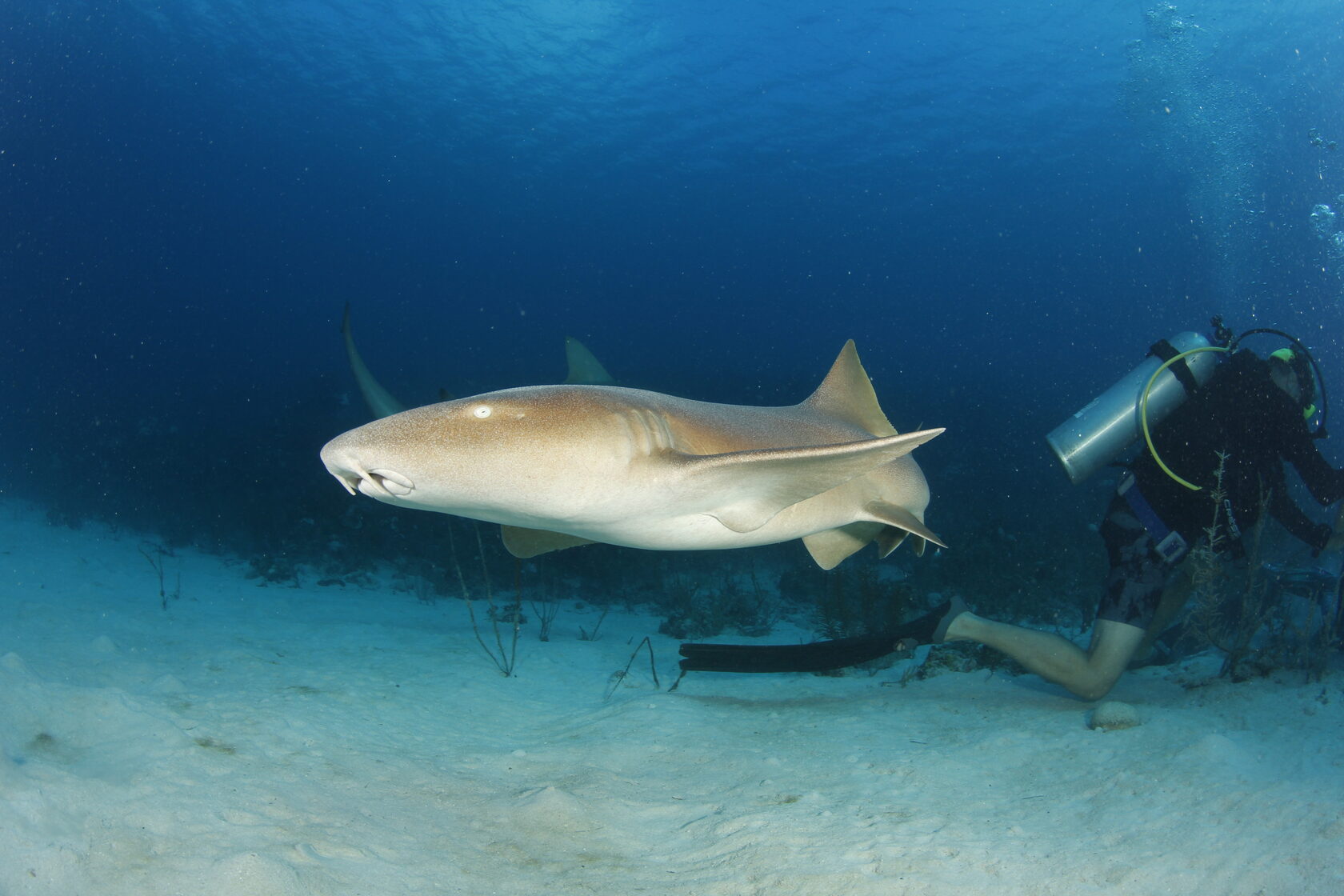 Куба, ноябрь 2023