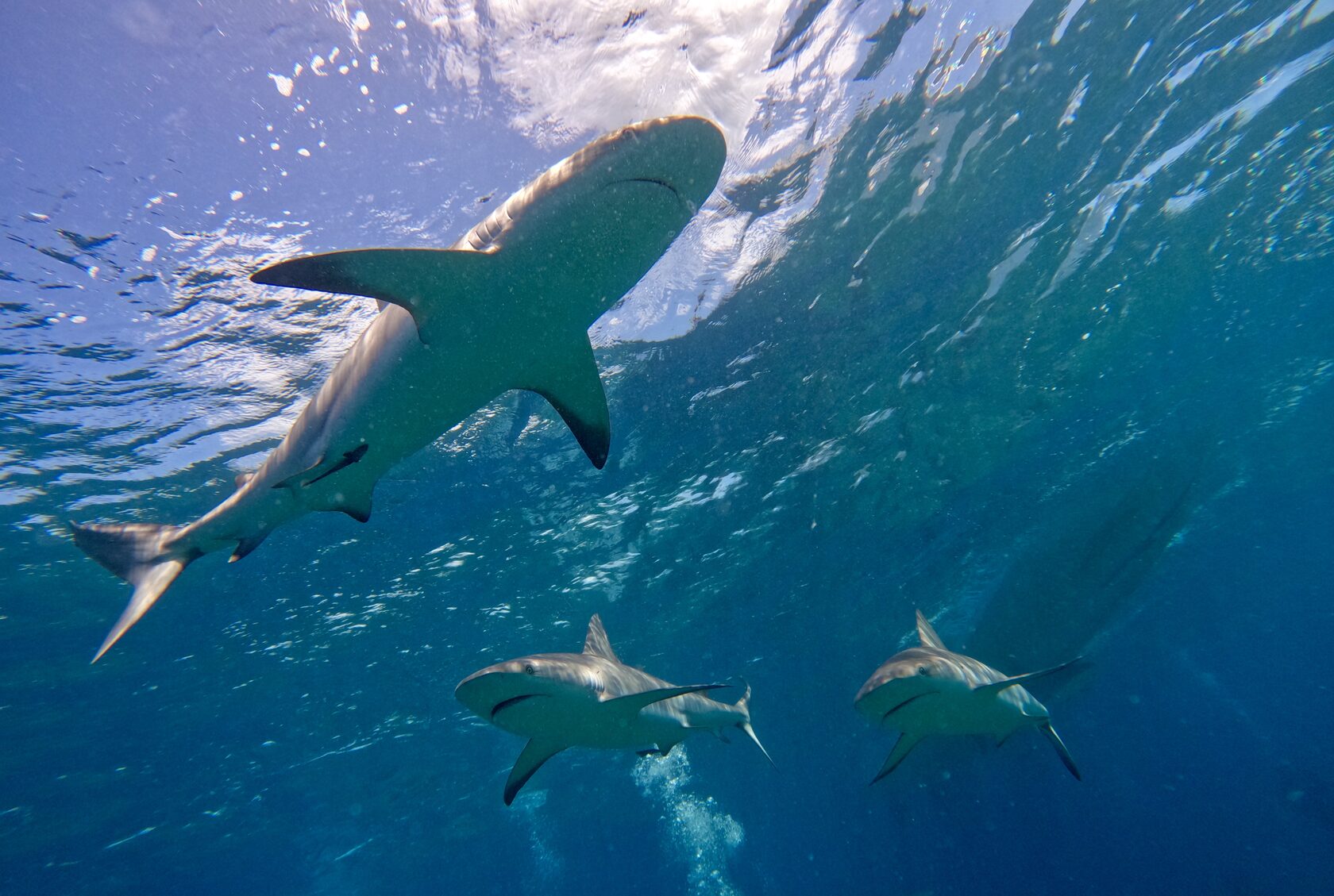 Куба, март 2024