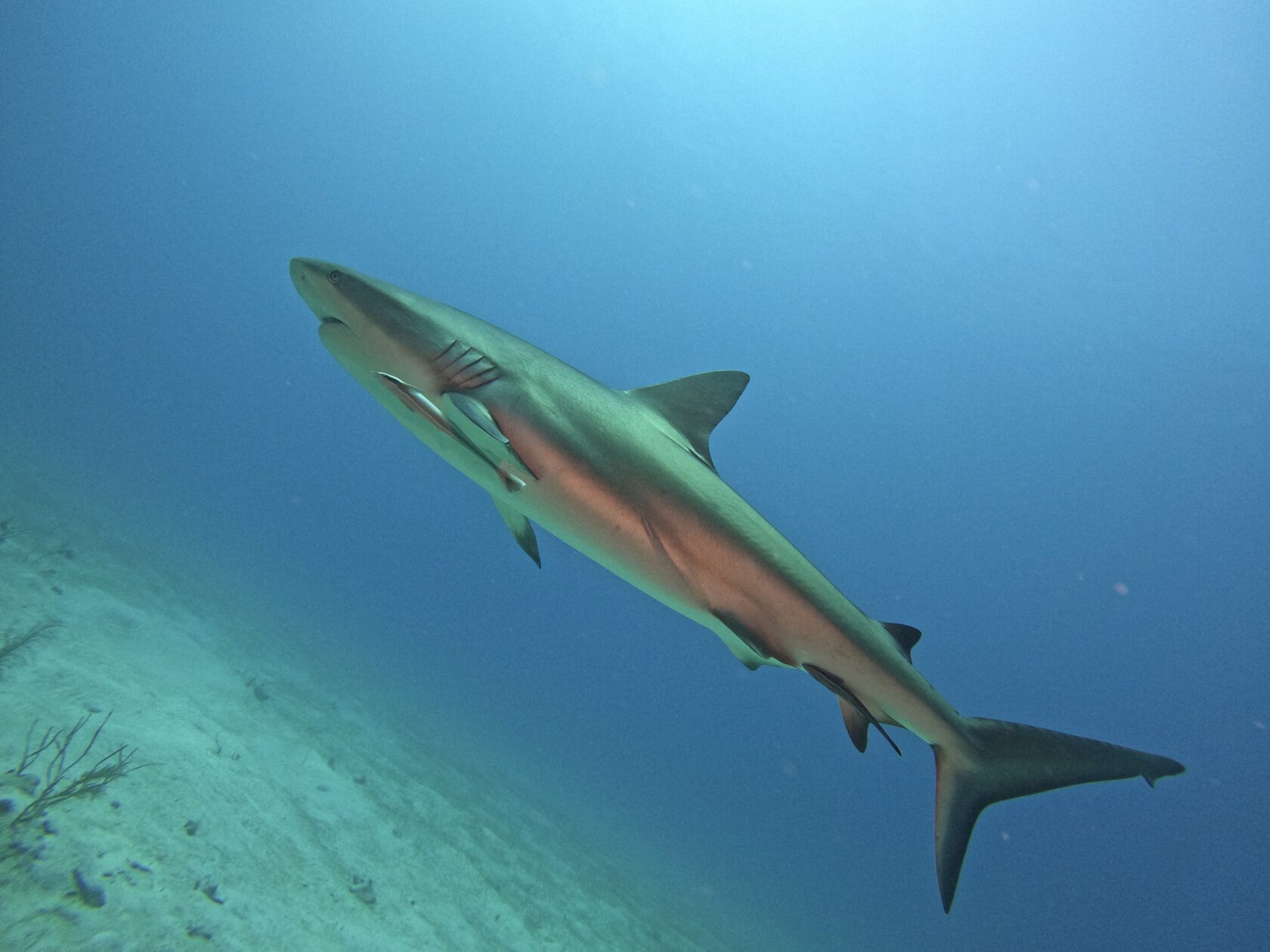 Куба, март 2024