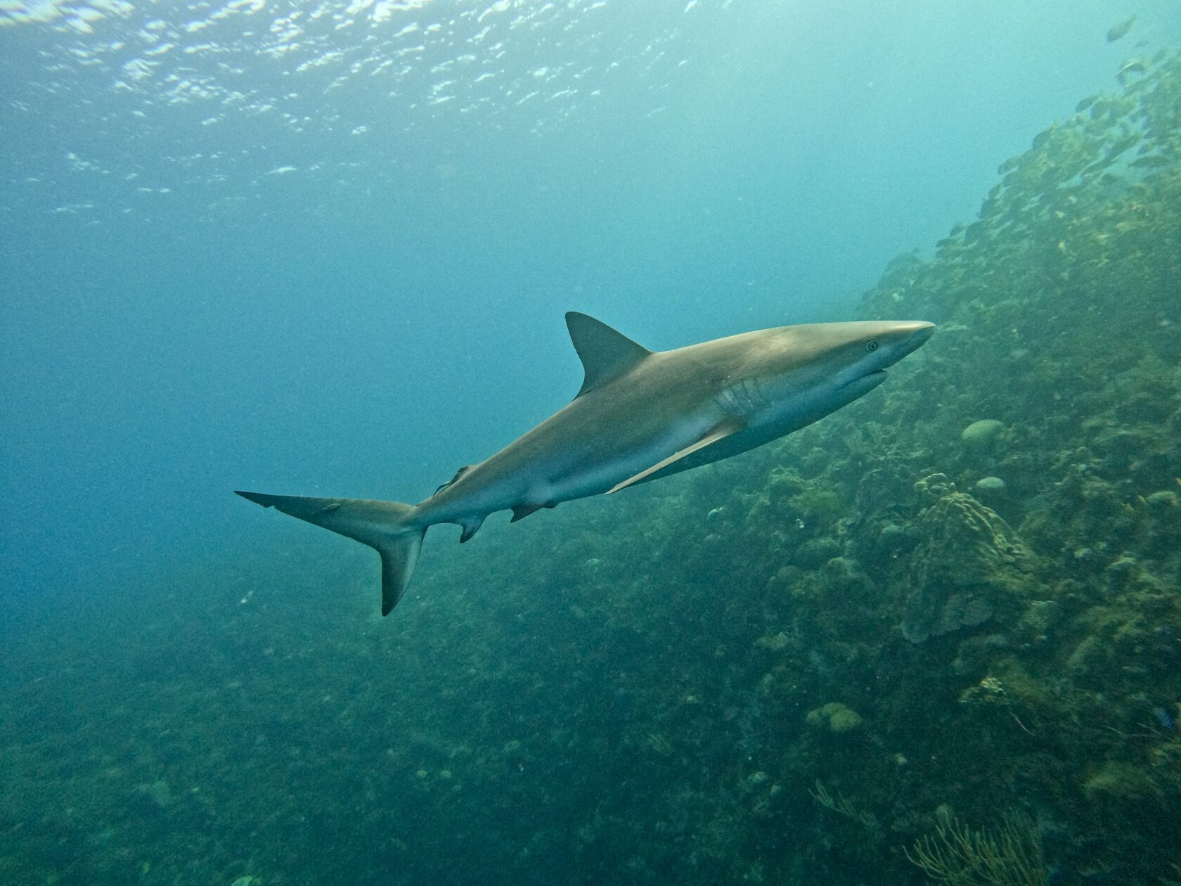 Куба, март 2024