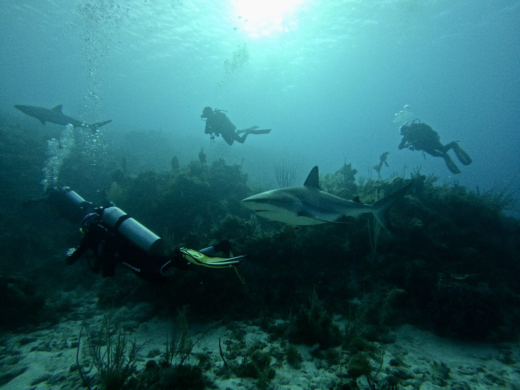 Куба, март 2024