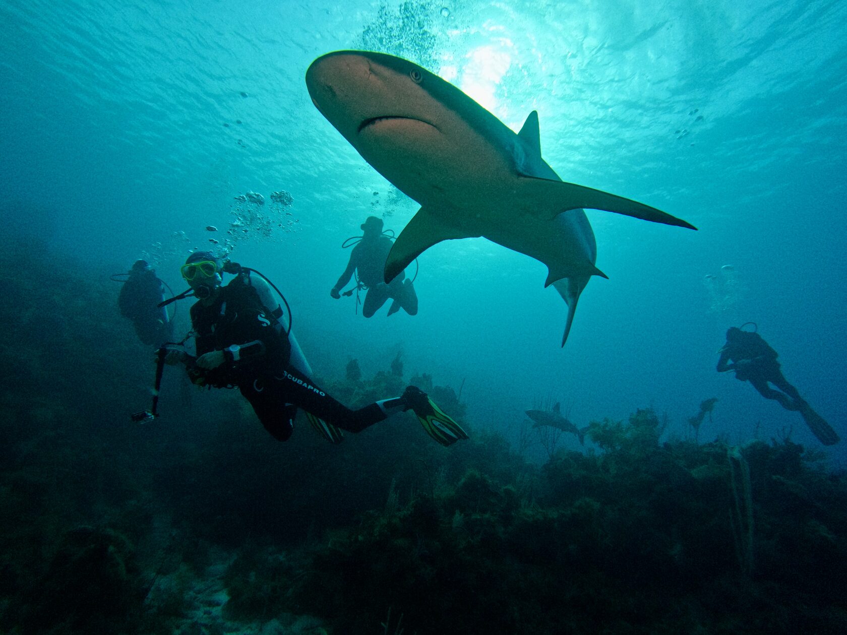 Куба, март 2024