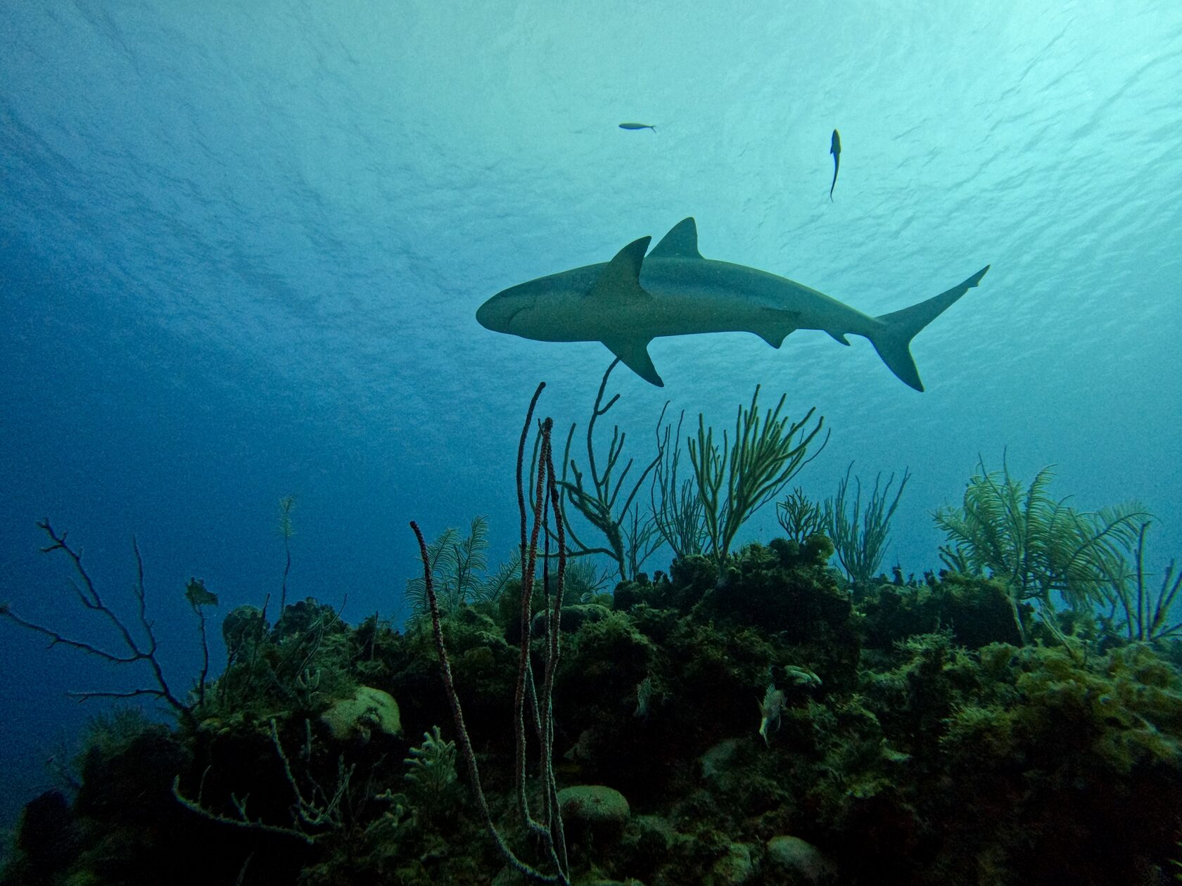 Куба, март 2024