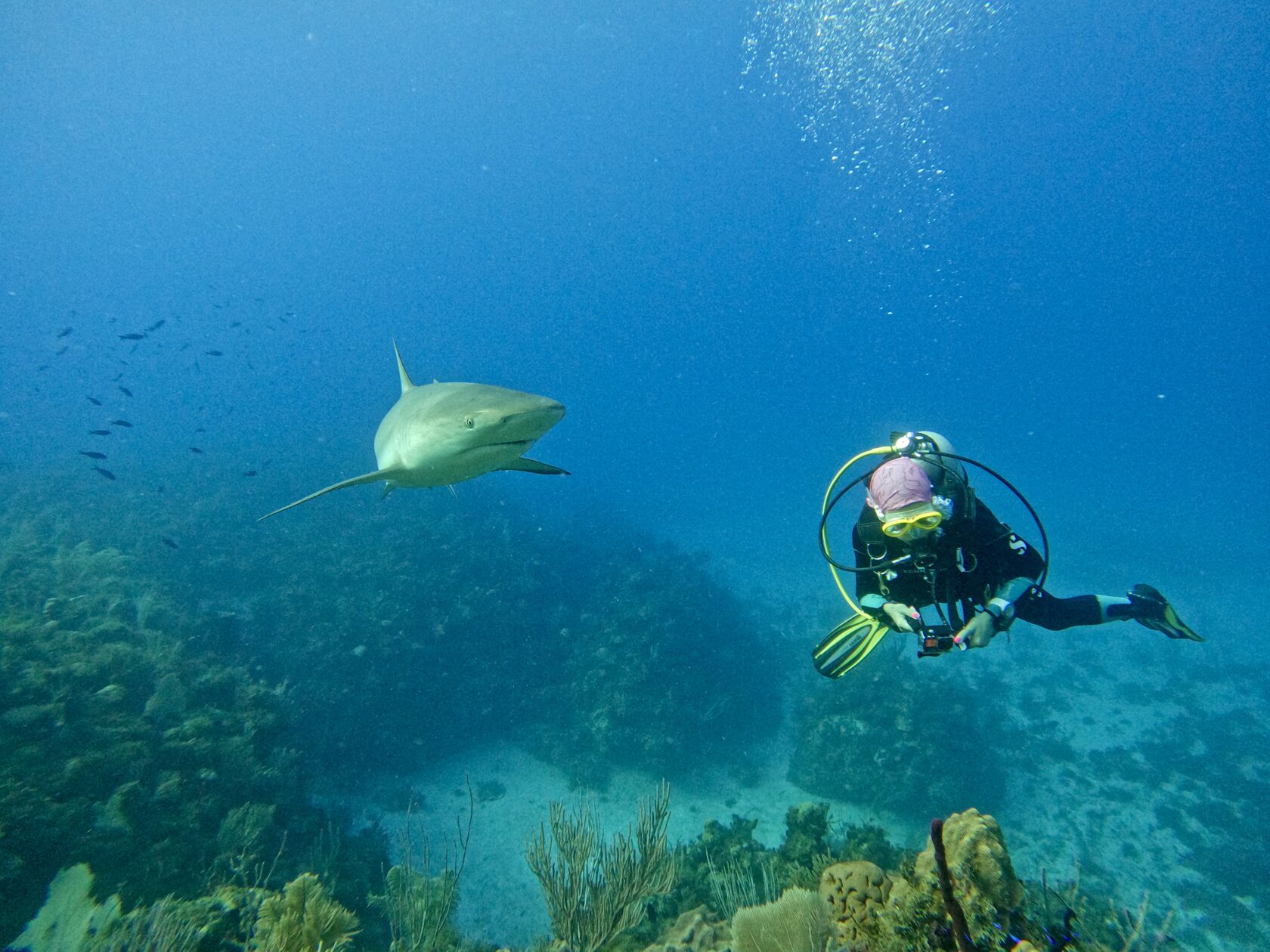 Куба, март 2024