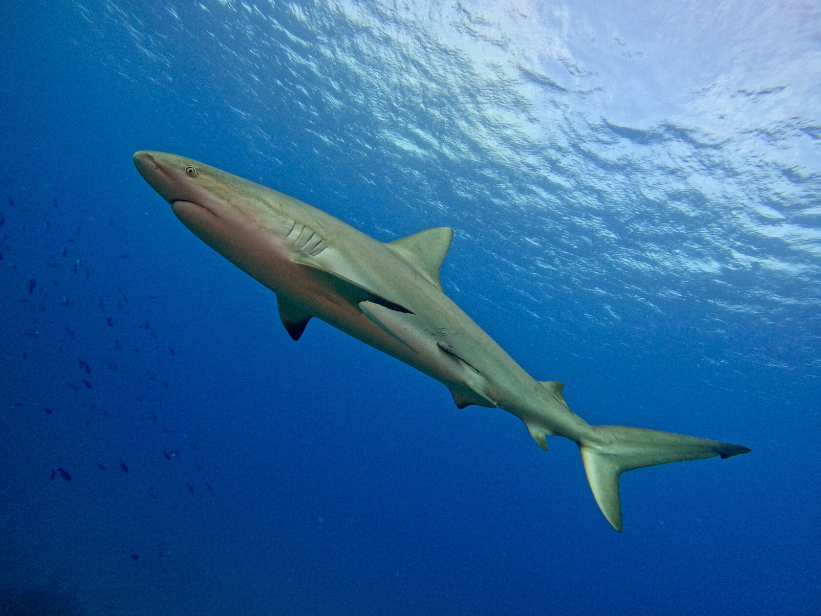 Куба, март 2024