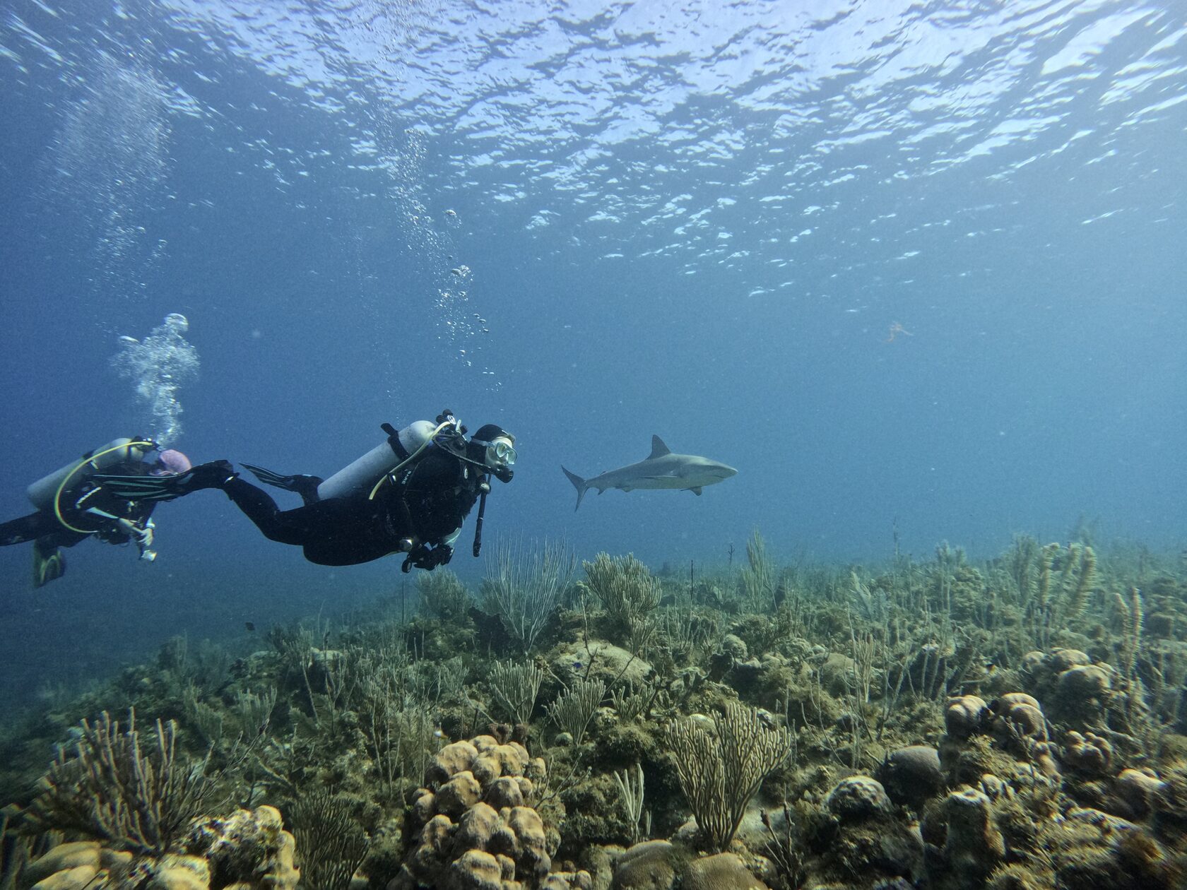 Куба, март 2024