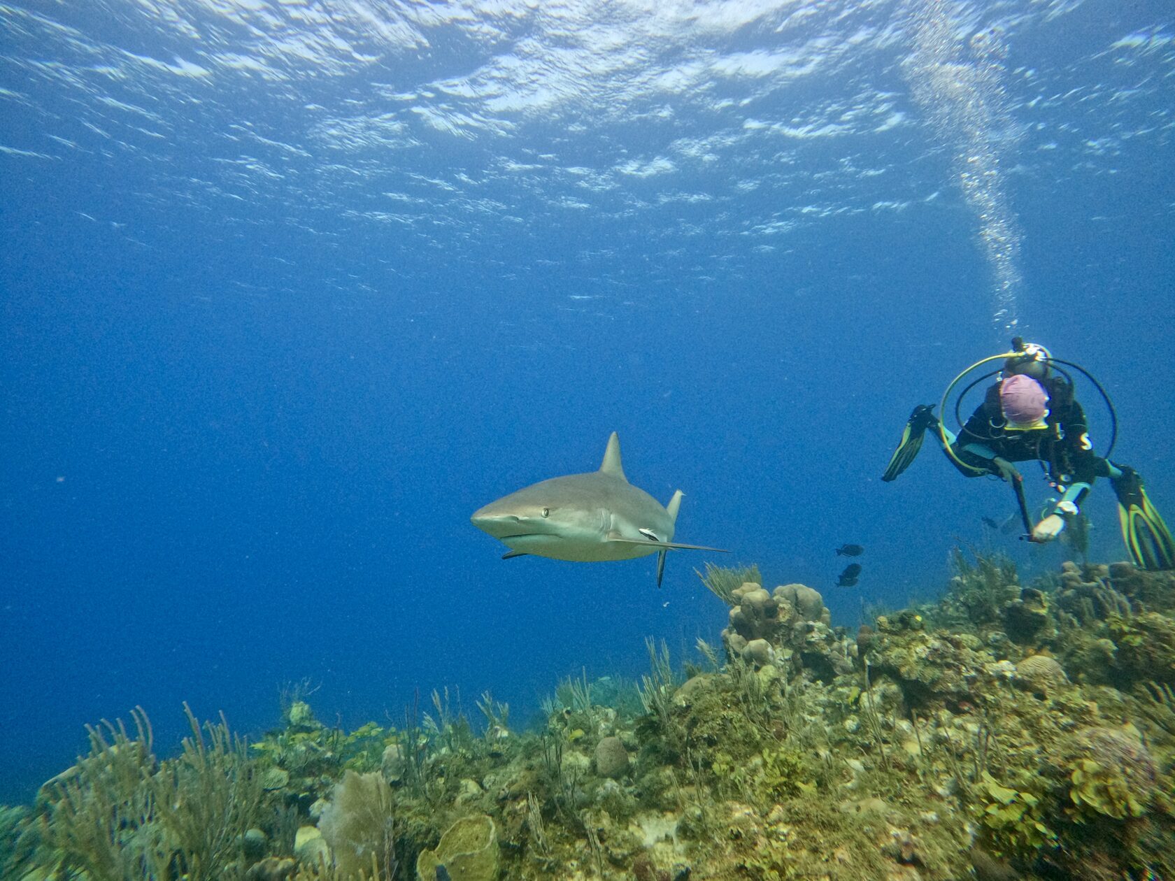 Куба, март 2024