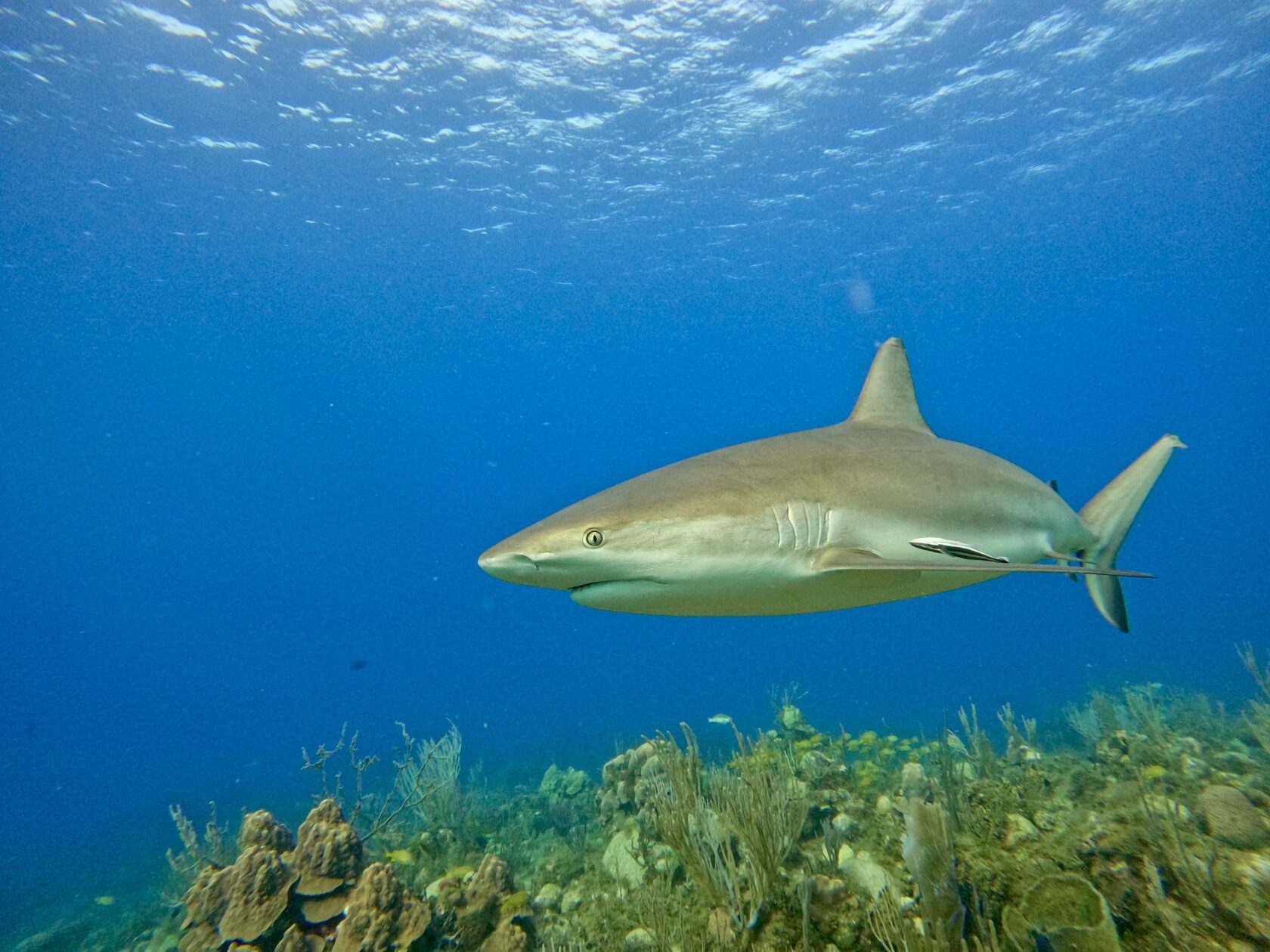 Куба, март 2024