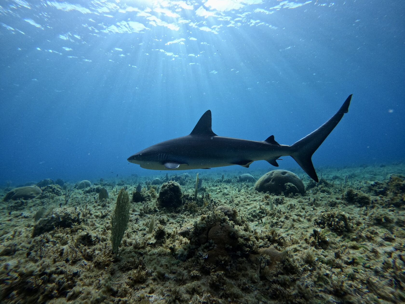 Куба, март 2024