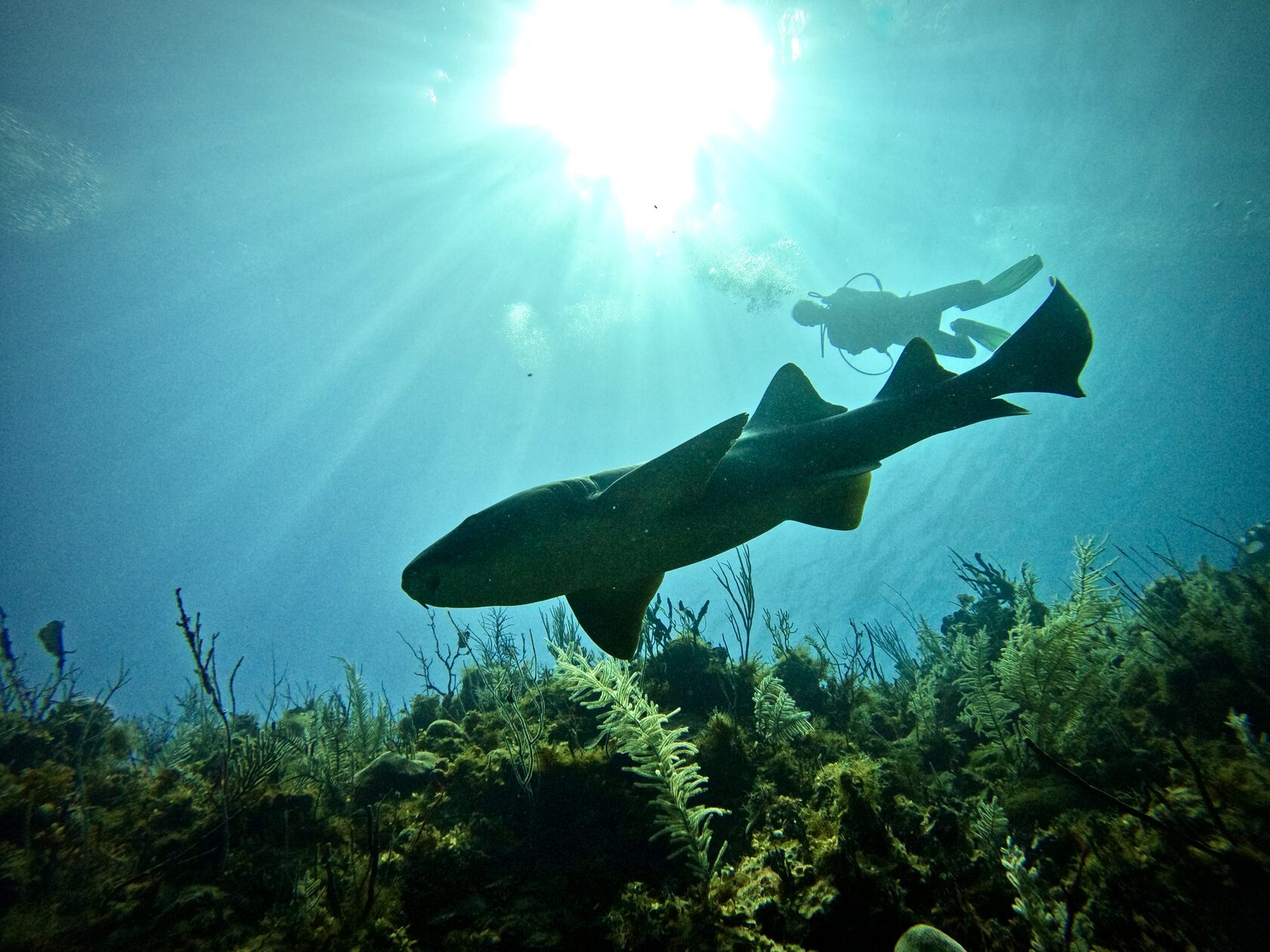 Куба, март 2024