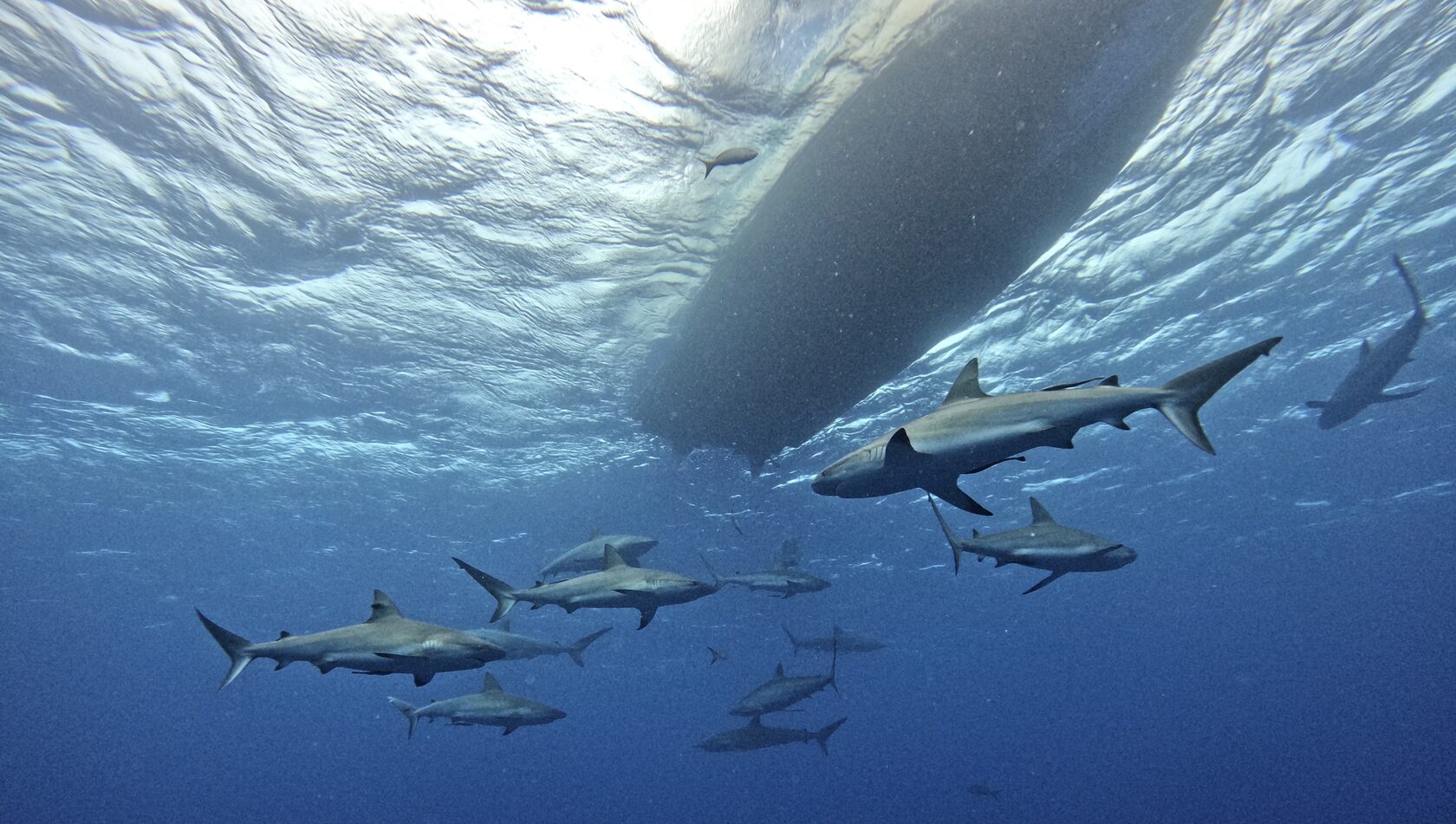 Куба, март 2024