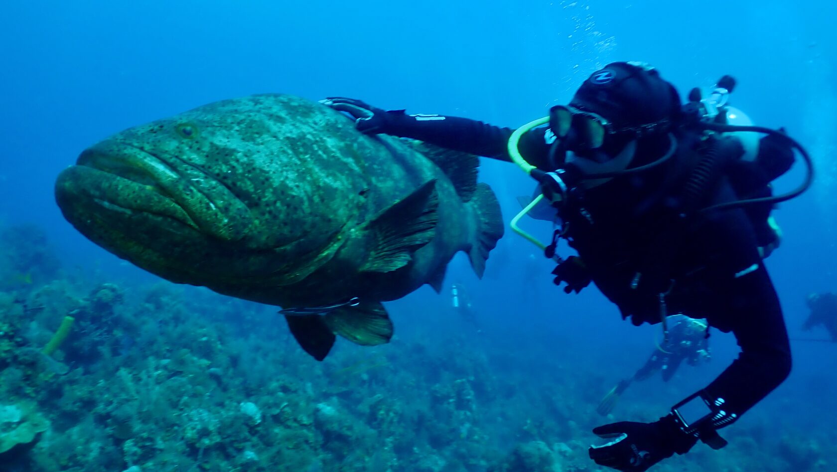 Куба, март 2024