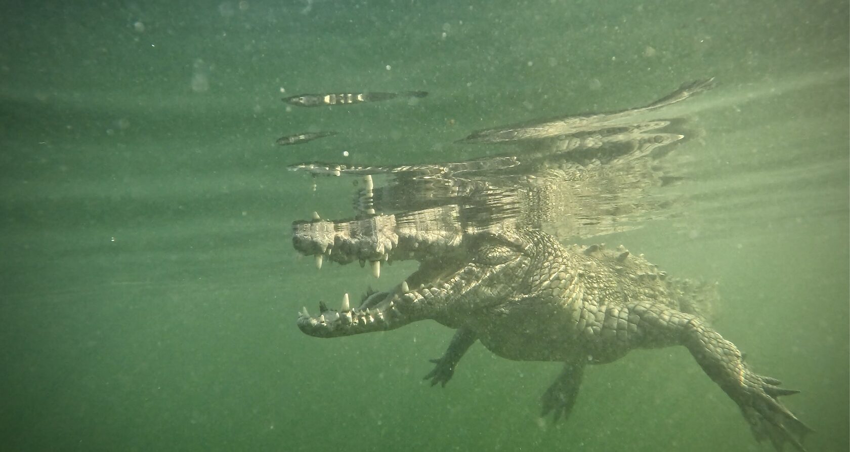 Куба, март 2024