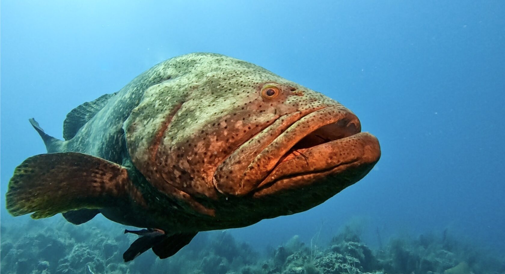 Куба, март 2024