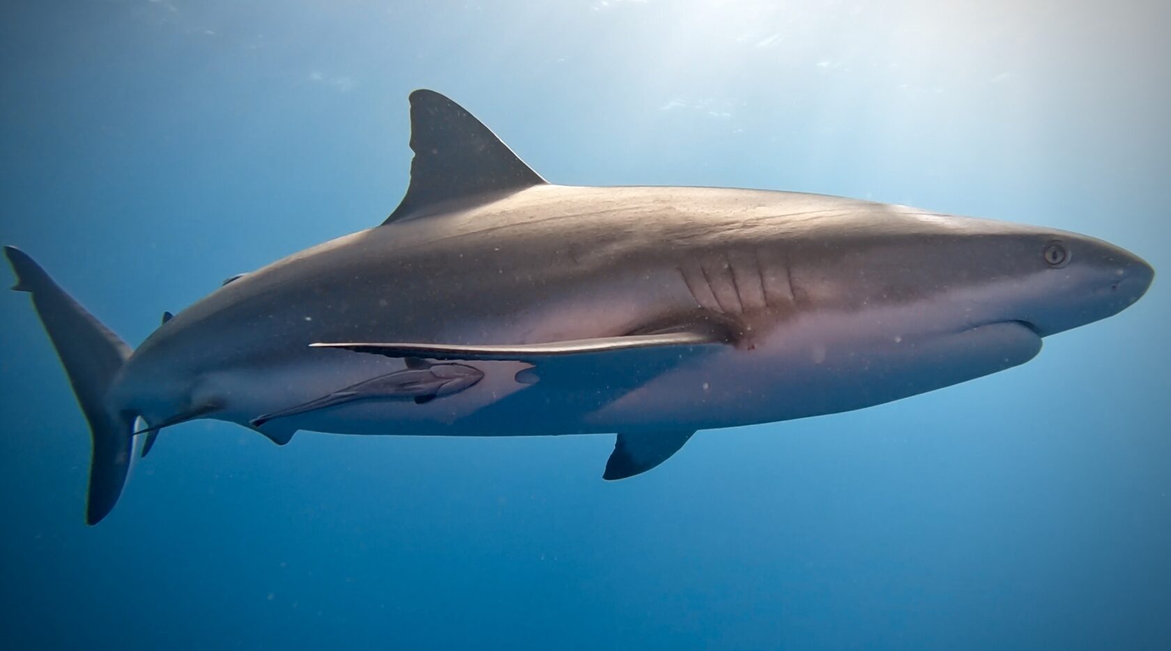 Куба, март 2024