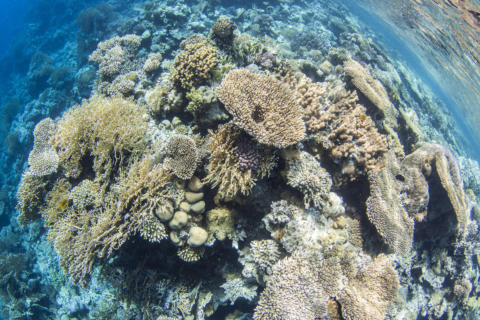 Египет, июнь 2021