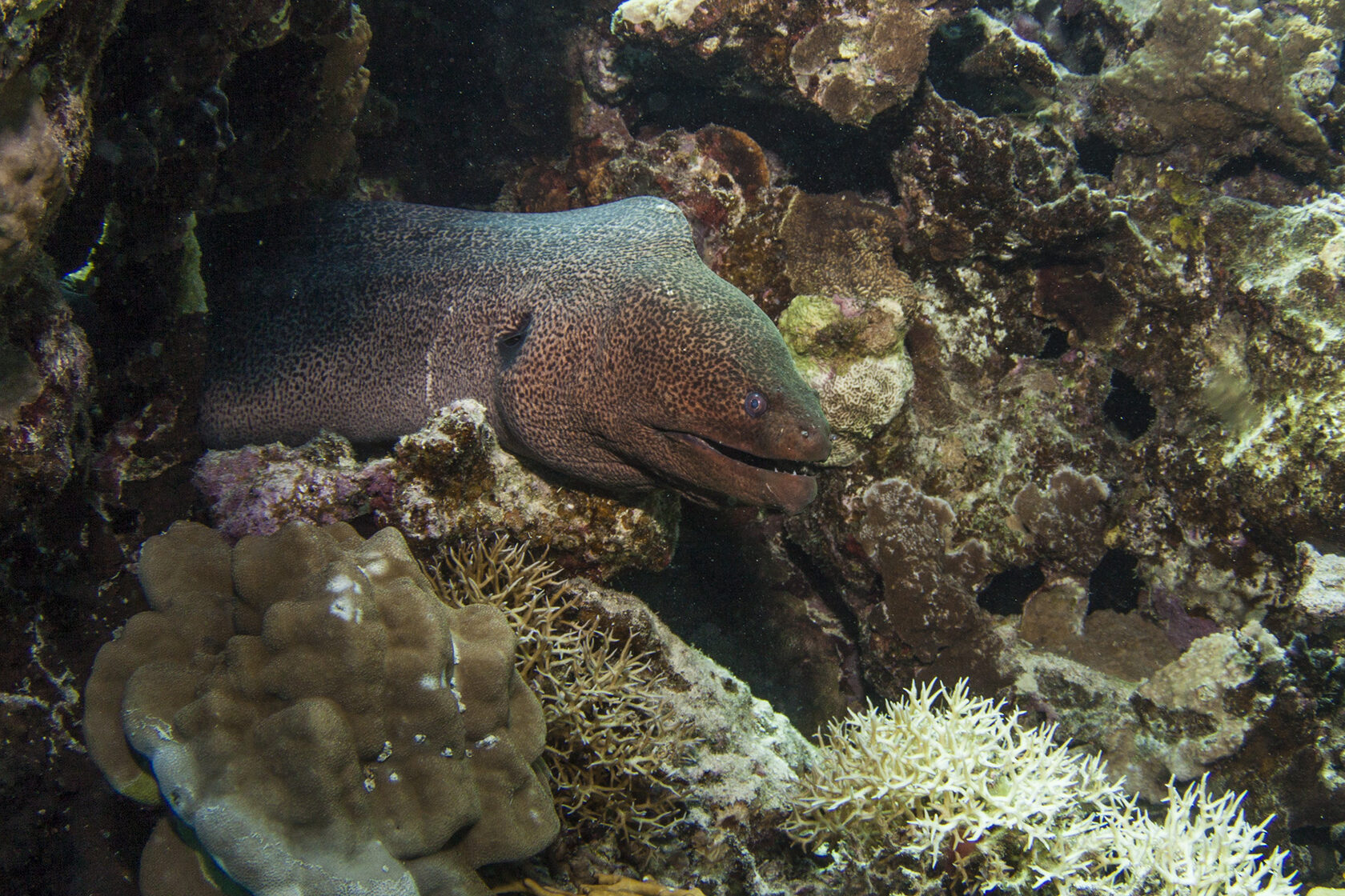 Египет, июнь 2021