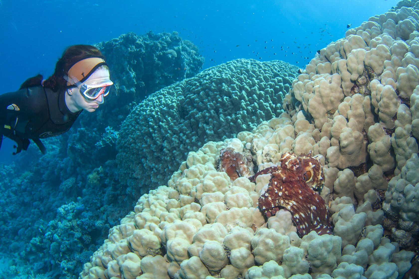 Египет, июнь 2021