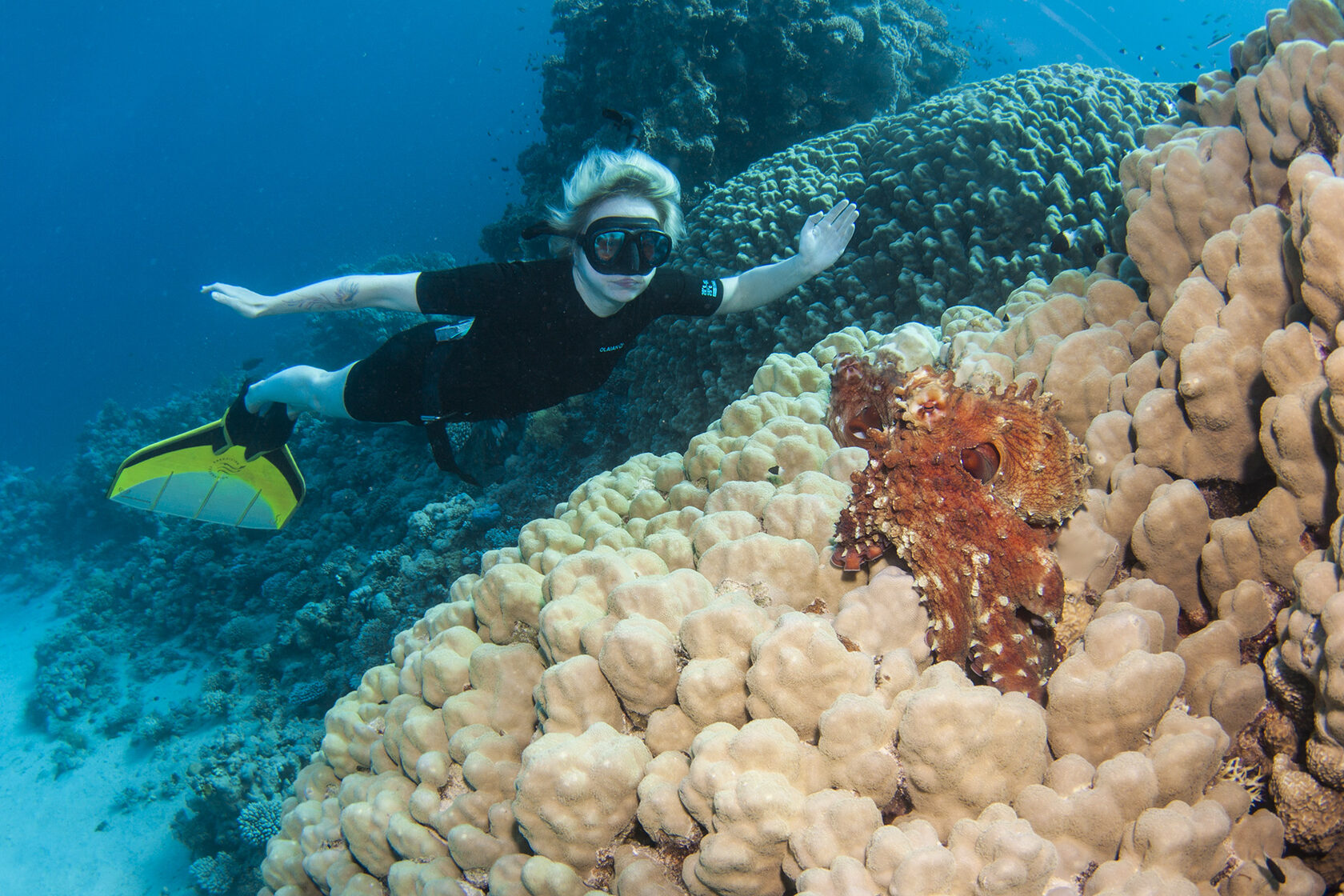 Египет, июнь 2021