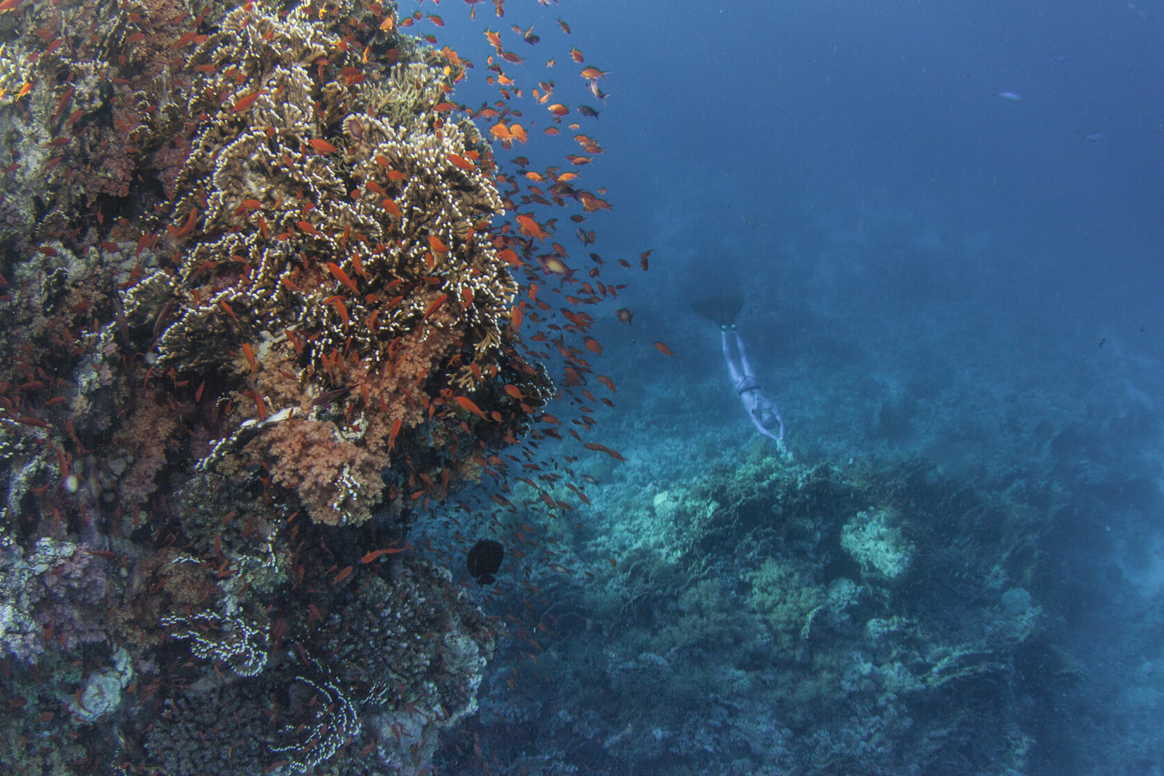 Египет, июнь 2021