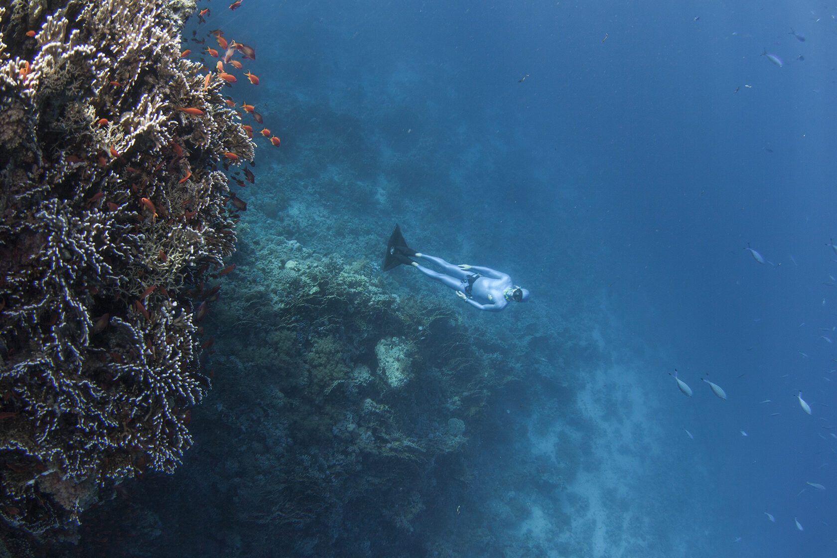 Египет, июнь 2021