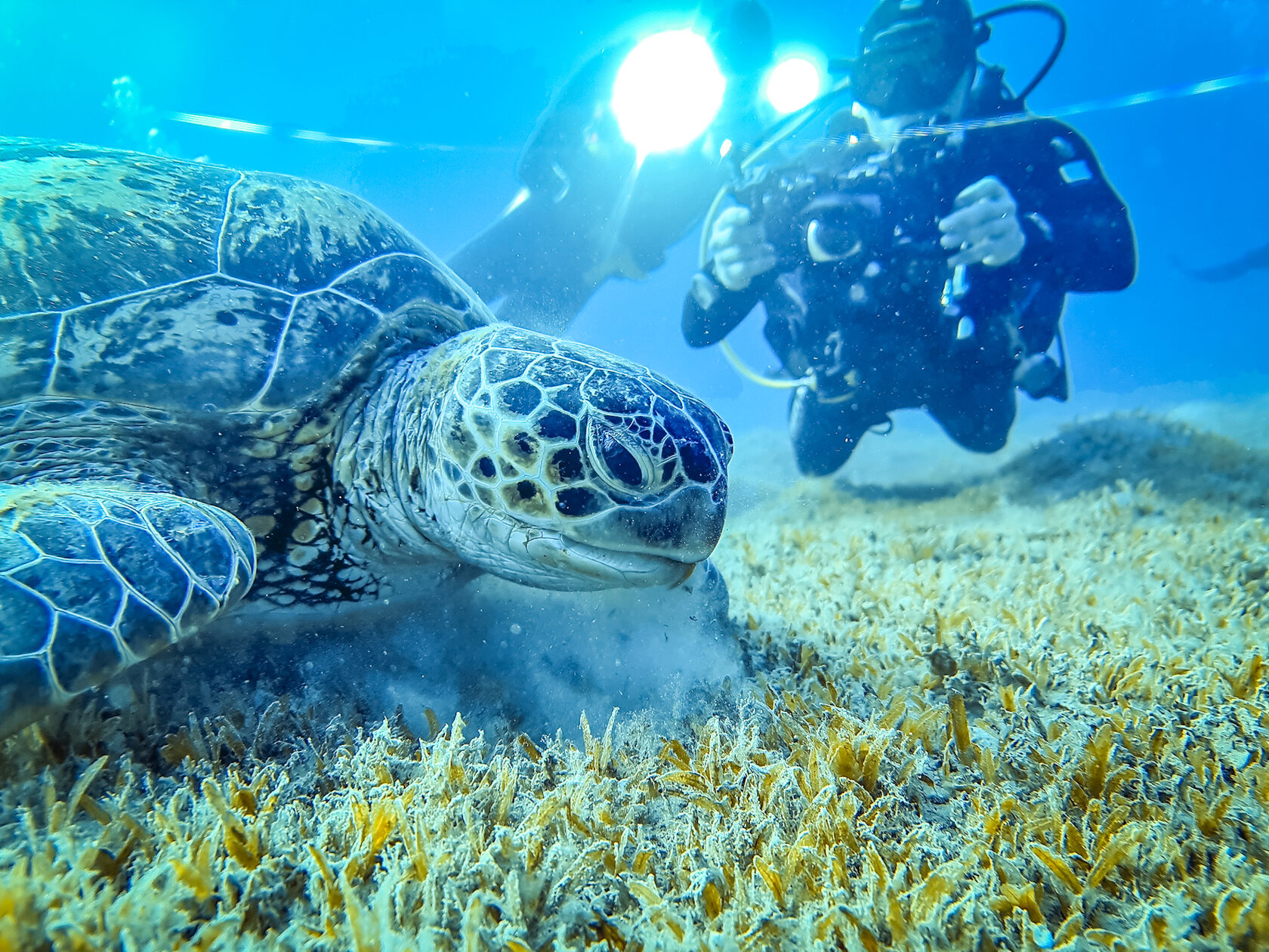 Египет, май 2021