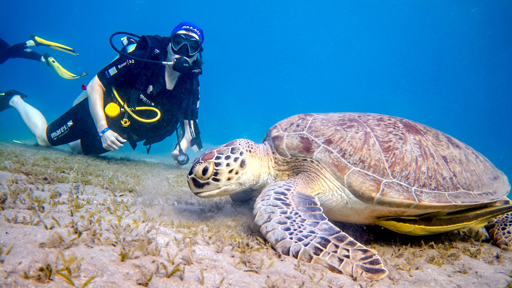 Египет, май 2021