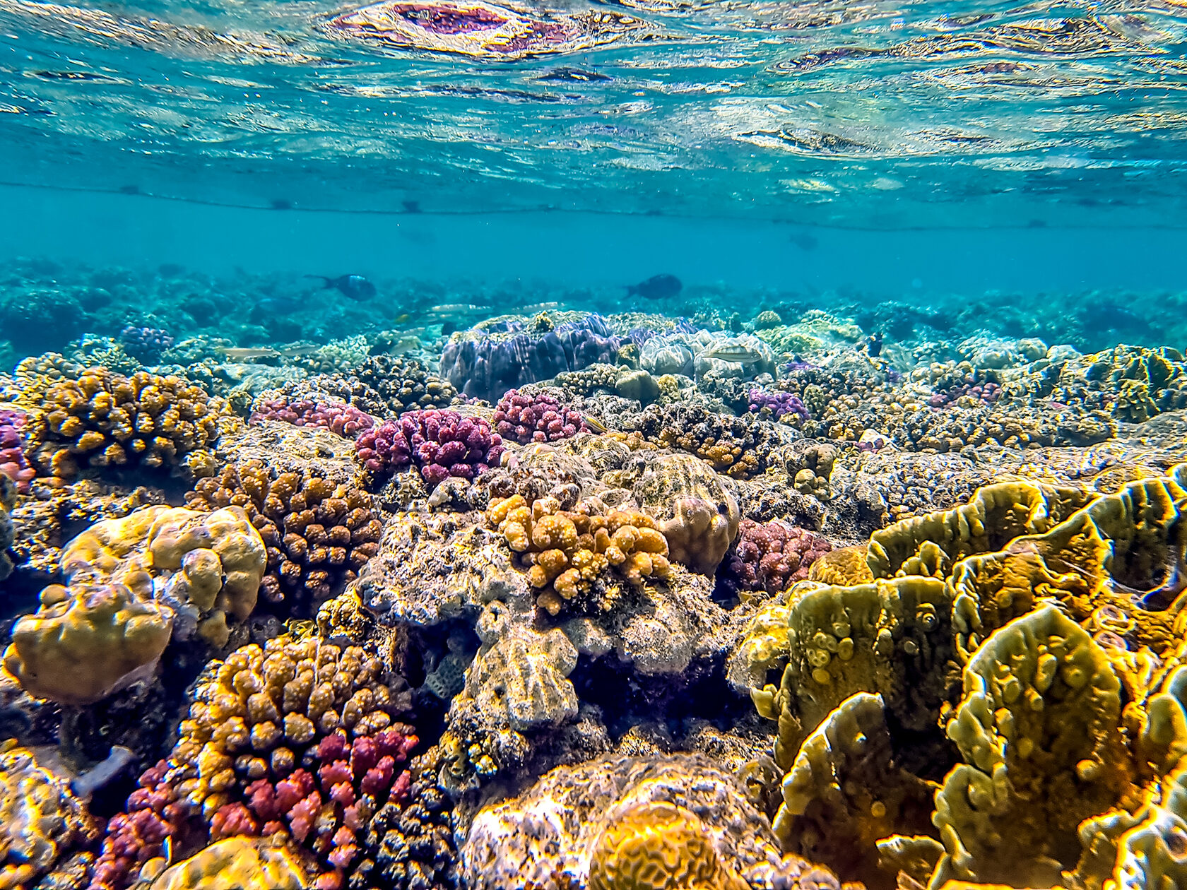 Египет, май 2021