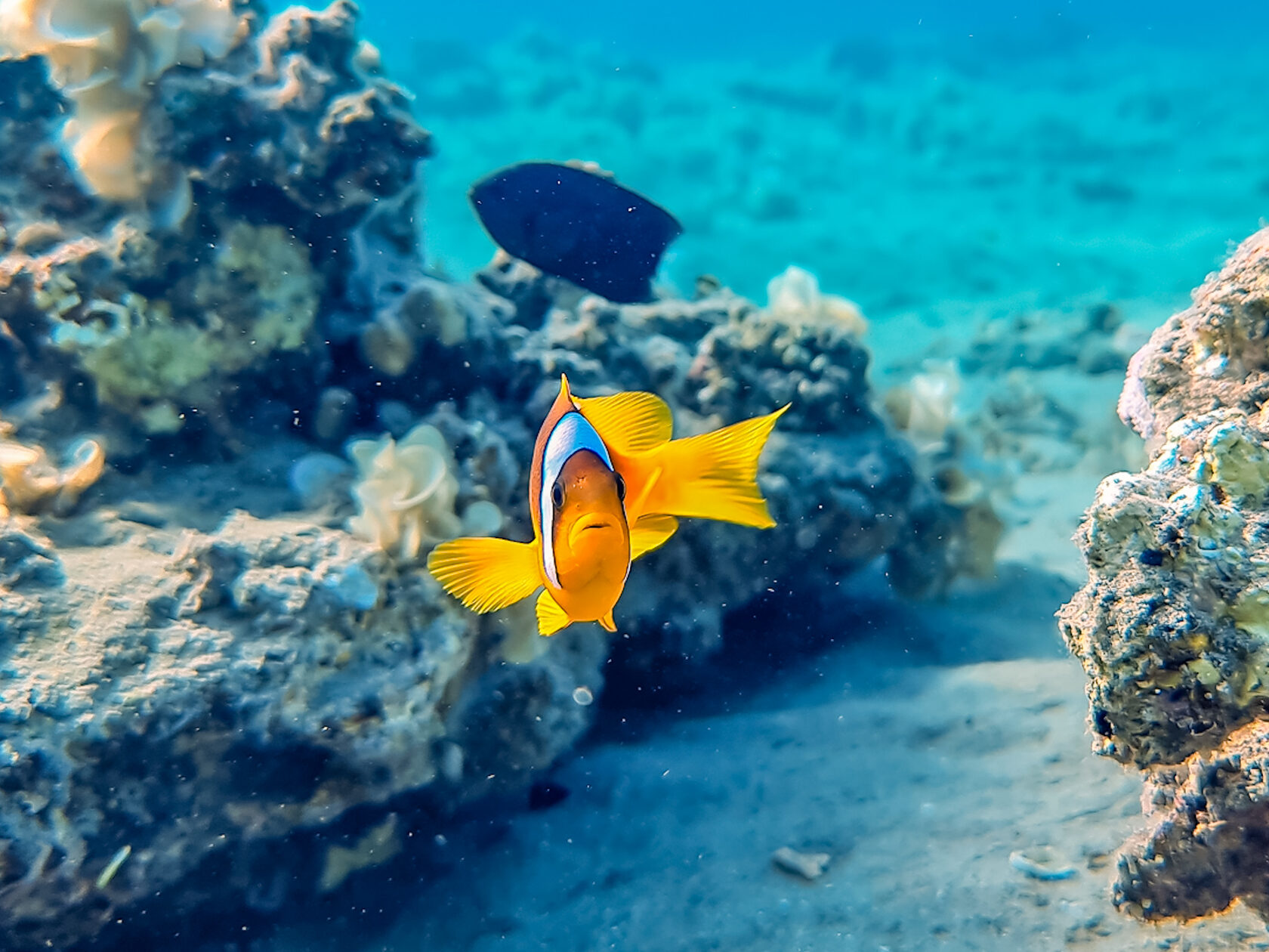 Египет, май 2021