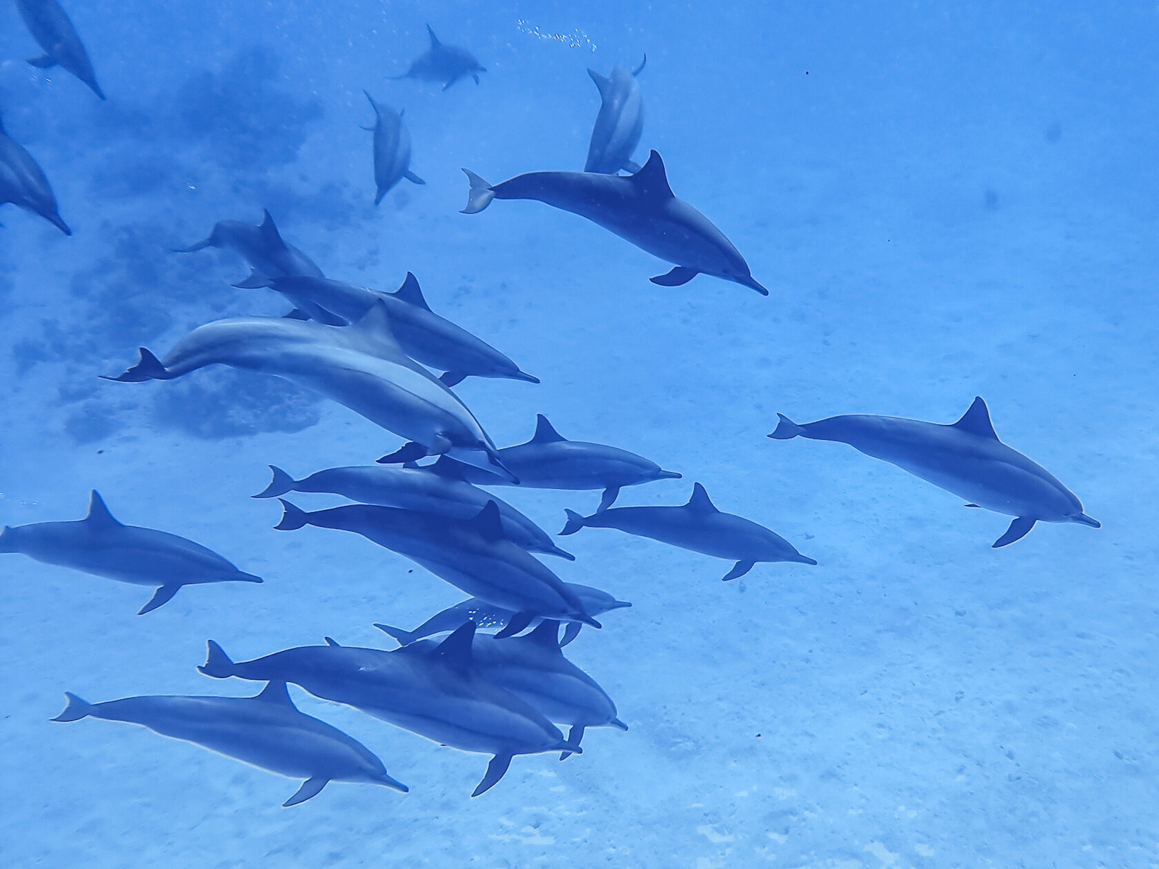 Египет, май 2021