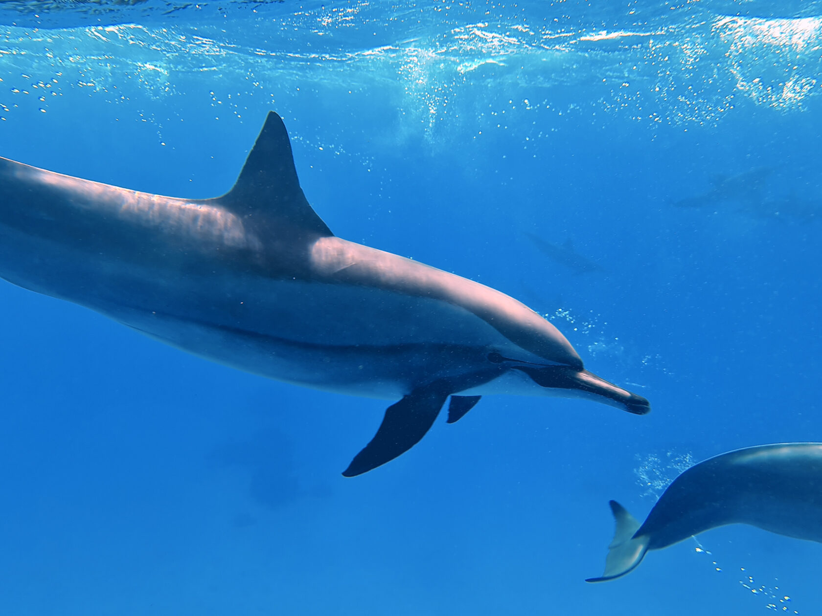 Египет, май 2021