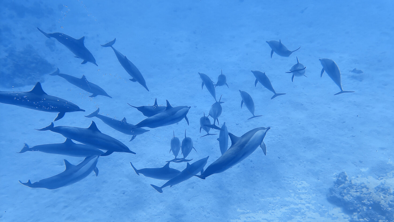 Египет, май 2021